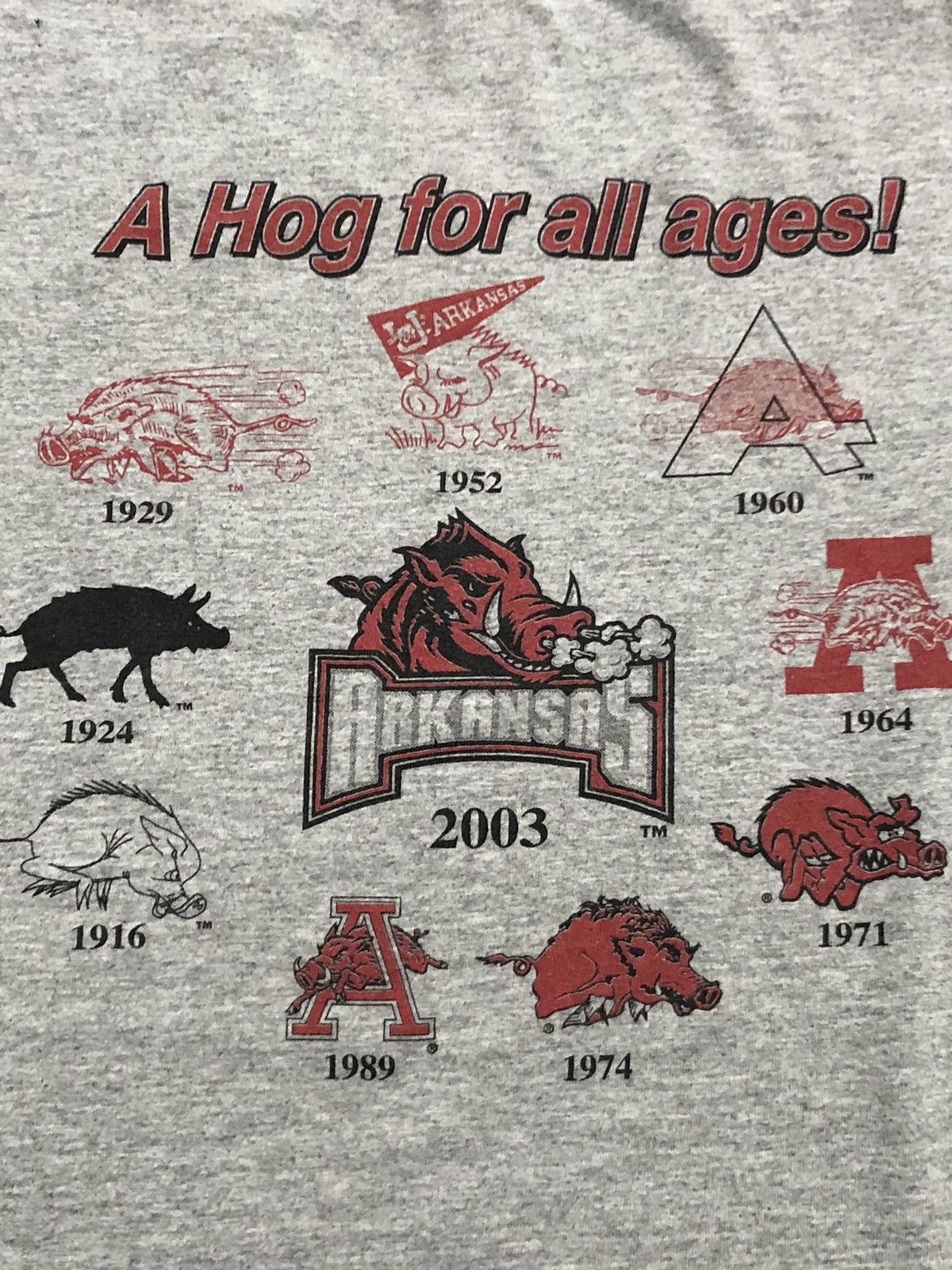 Vintage Vtg Y2K 2003 Evolution of Arkansas Razorbacks Long Sleeve Size US M / EU 48-50 / 2 - 3 Thumbnail