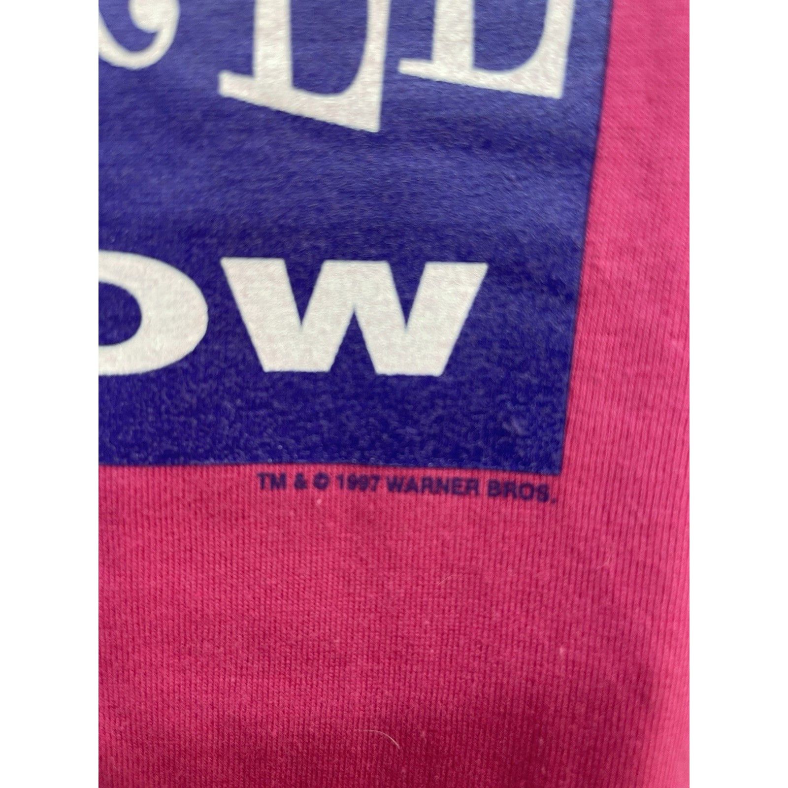 Other Vintage 1997 The Rosie O'Donnell Show T-Shirt L The Rosie Od Size US L / EU 52-54 / 3 - 3 Thumbnail