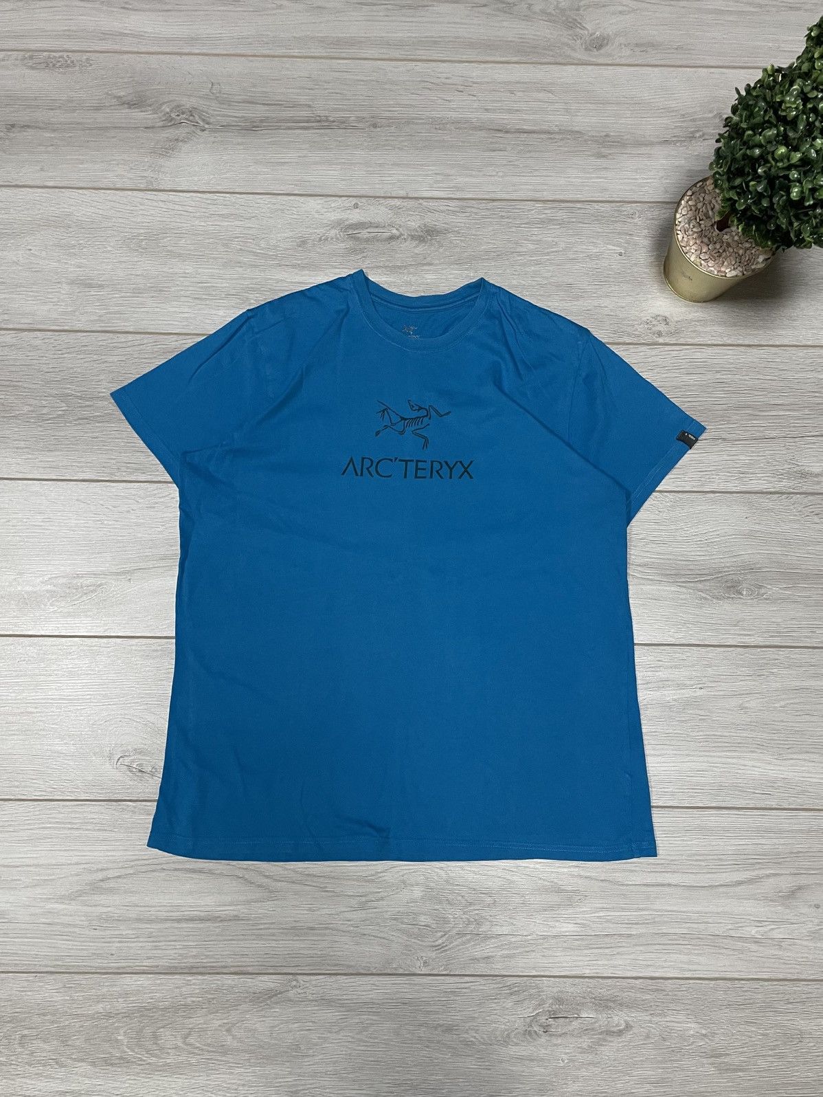 Arcteryx vintage big bird logo t-shirt
