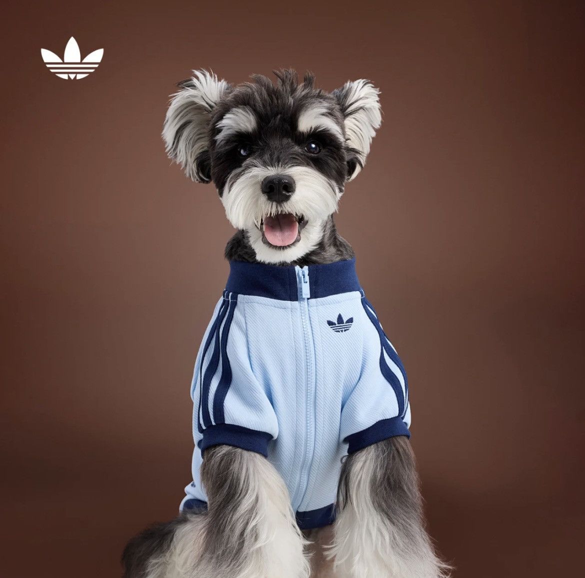 Adidas Adidas Originals Pet Tracksuit Zip-Up Jacket Dogs Cats Size ONE SIZE - 1 Thumbnail