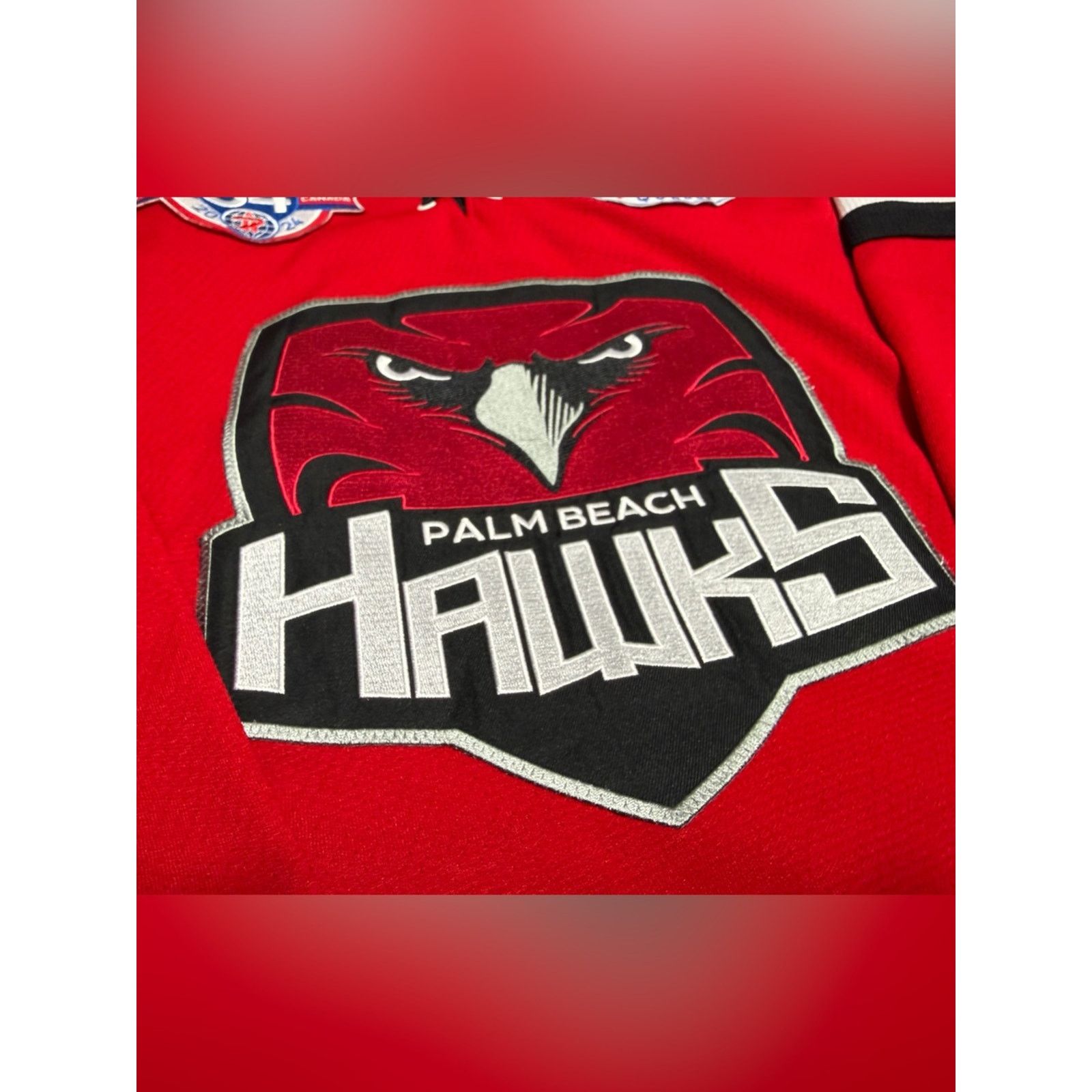 Other Palm Beach Hawks Authentic Minor Hockey Jersey Mens RARE Size US S / EU 44-46 / 1 - 4 Thumbnail