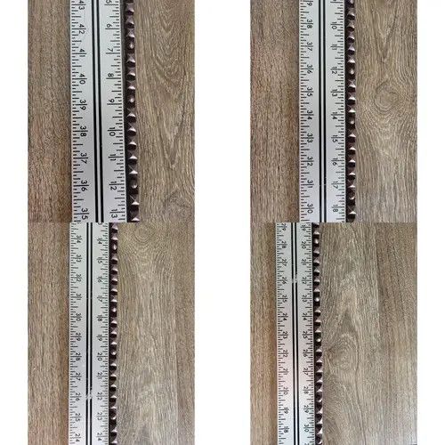 Other Belt Studded Punk Size ONE SIZE - 4 Thumbnail