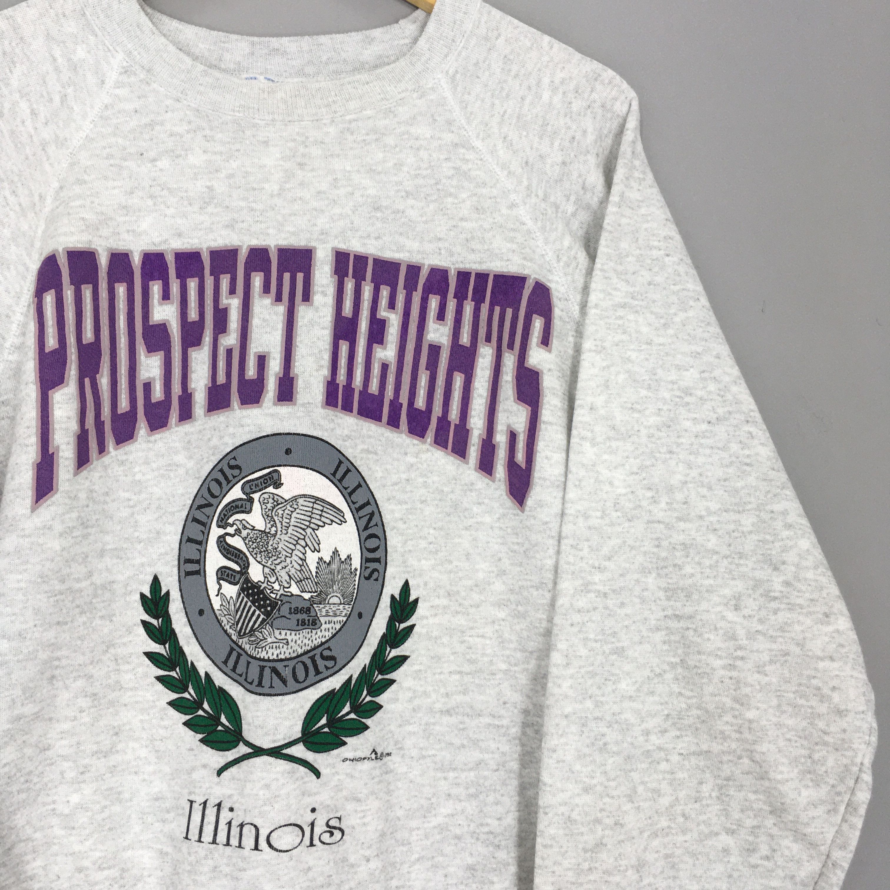 Hanes × Vintage Vintage 90s Prospect Heights Illinois Sweatshirt XLarge Size US XL / EU 56 / 4 - 2 Thumbnail