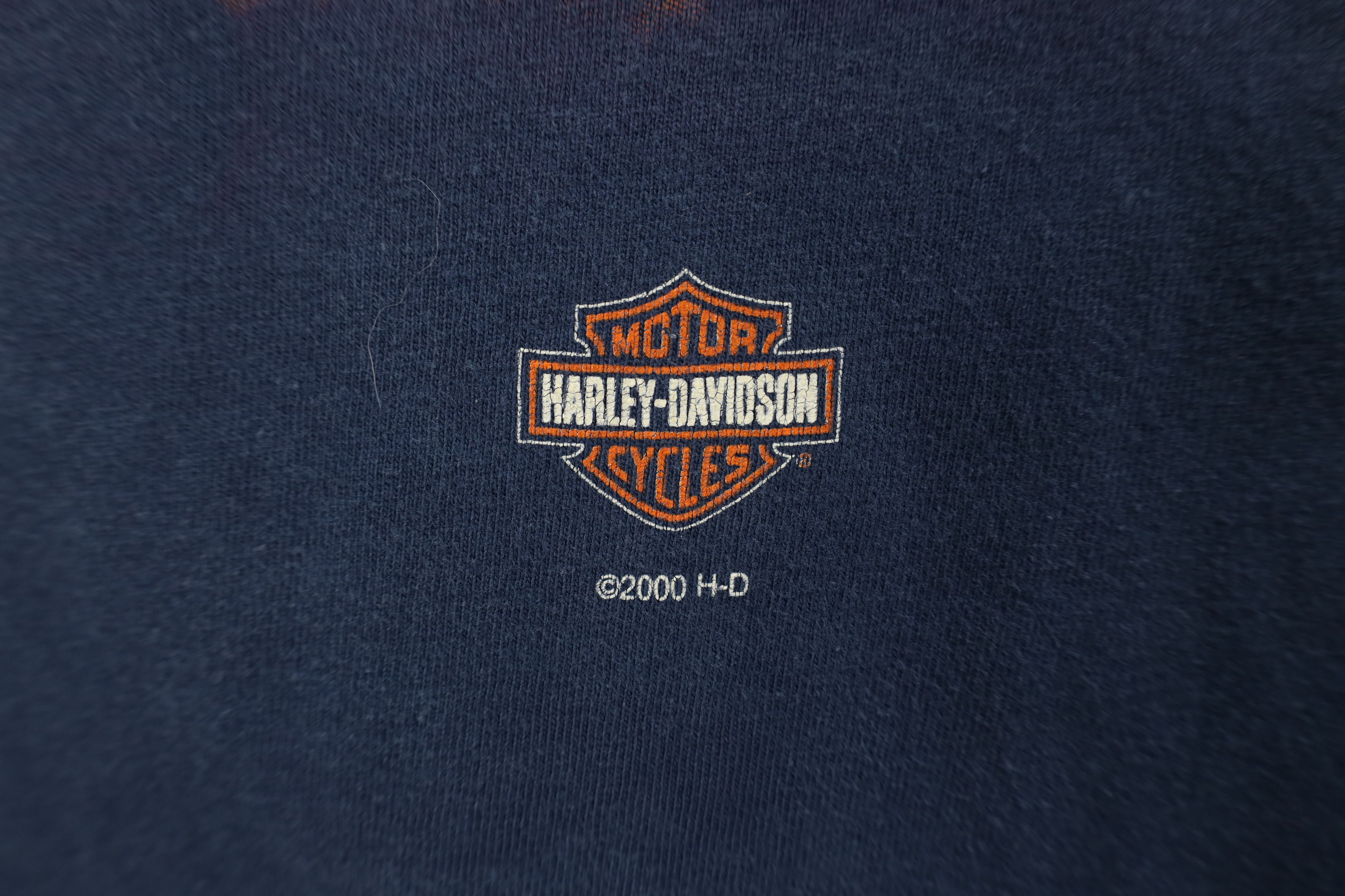 Harley Davidson Vintage Y2K 2000 Harley Davidson Eagle Fire T-Shirt USA Size US L / EU 52-54 / 3 - 6 Thumbnail