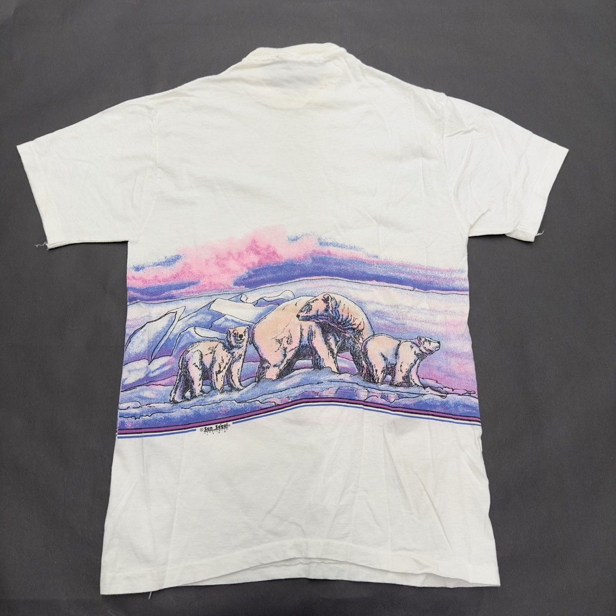 Anvil × Vintage Vintage Alaska tee Size US L / EU 52-54 / 3 - 2 Thumbnail