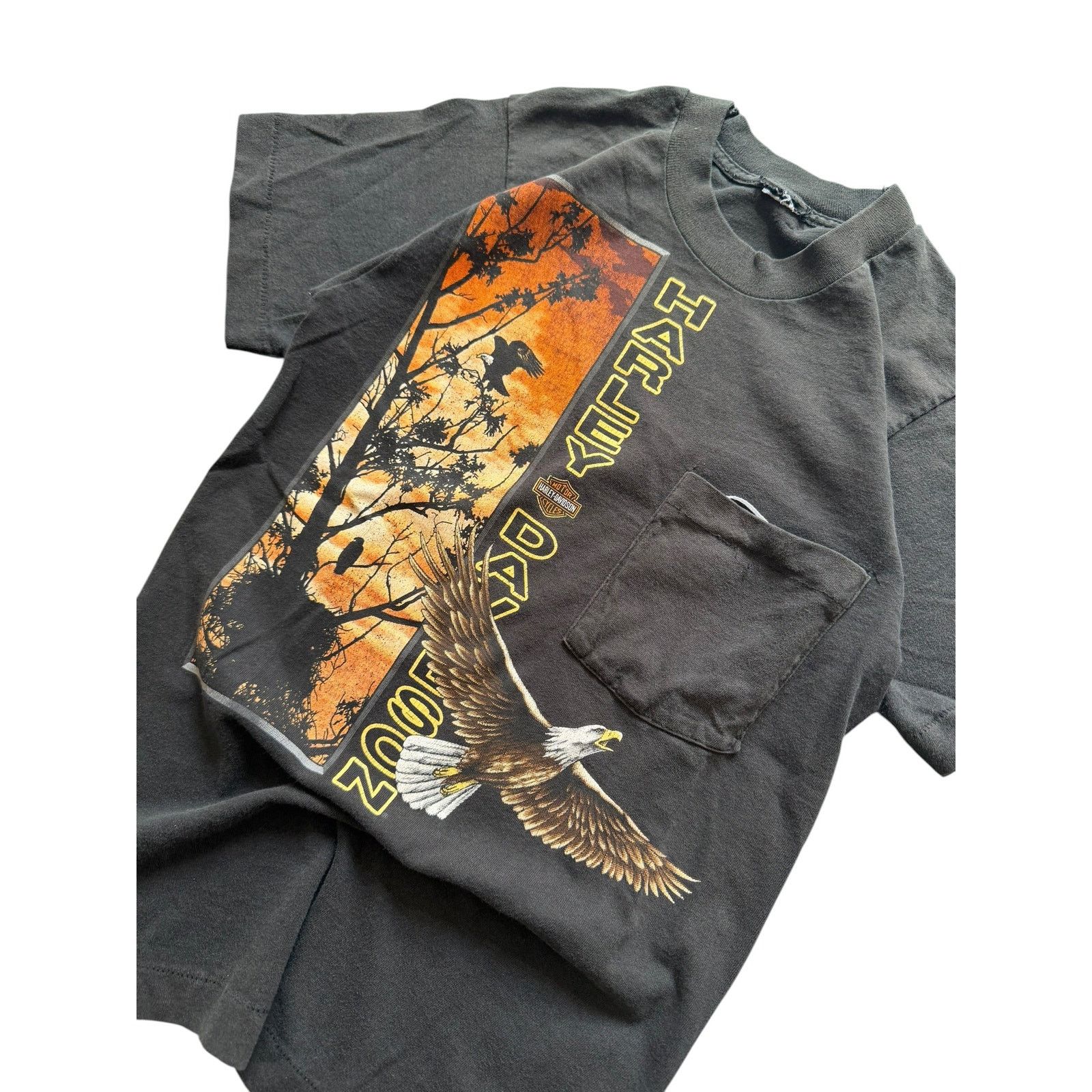Vintage Vintage HD Zion Eagle Desert Sunset Pocket Tee Size US S / EU 44-46 / 1 - 2 Thumbnail