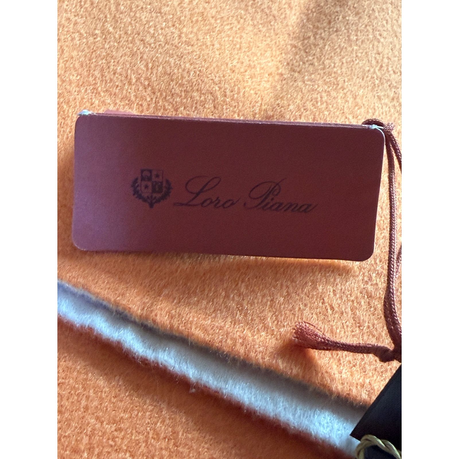 Loro Piana Loro Piana NWT Cashmere Tie Scarf Size ONE SIZE - 9 Thumbnail
