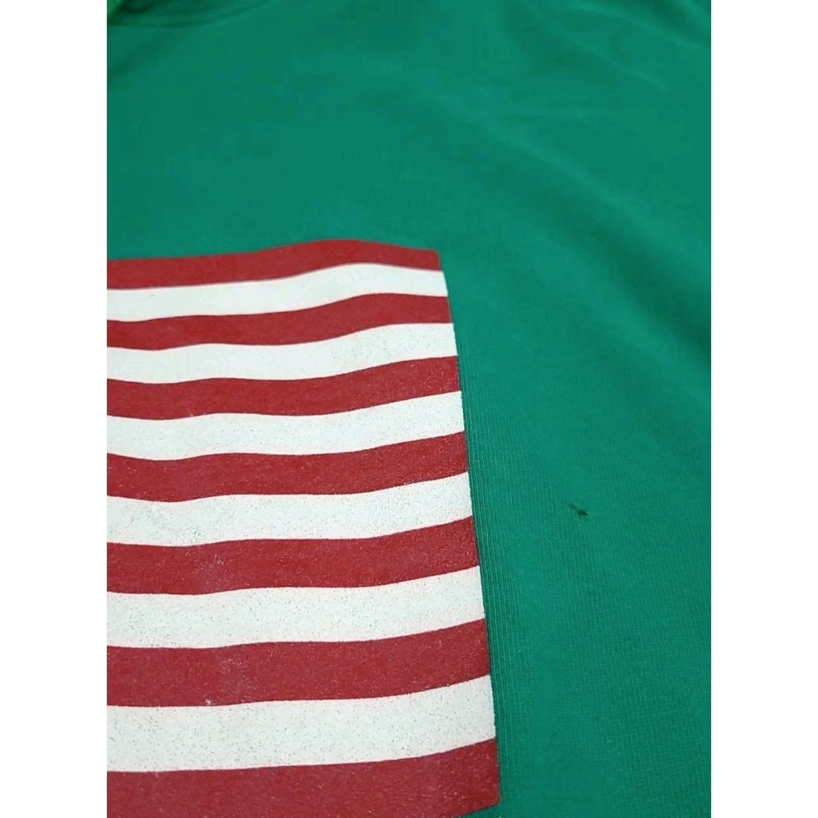Vintage VINTAGE Polo Sport Ralph Lauren USA Flag Hoodie Green L Men’s 90s Reg Pullover Crew Neck Size US L / EU 52-54 / 3 - 4 Thumbnail