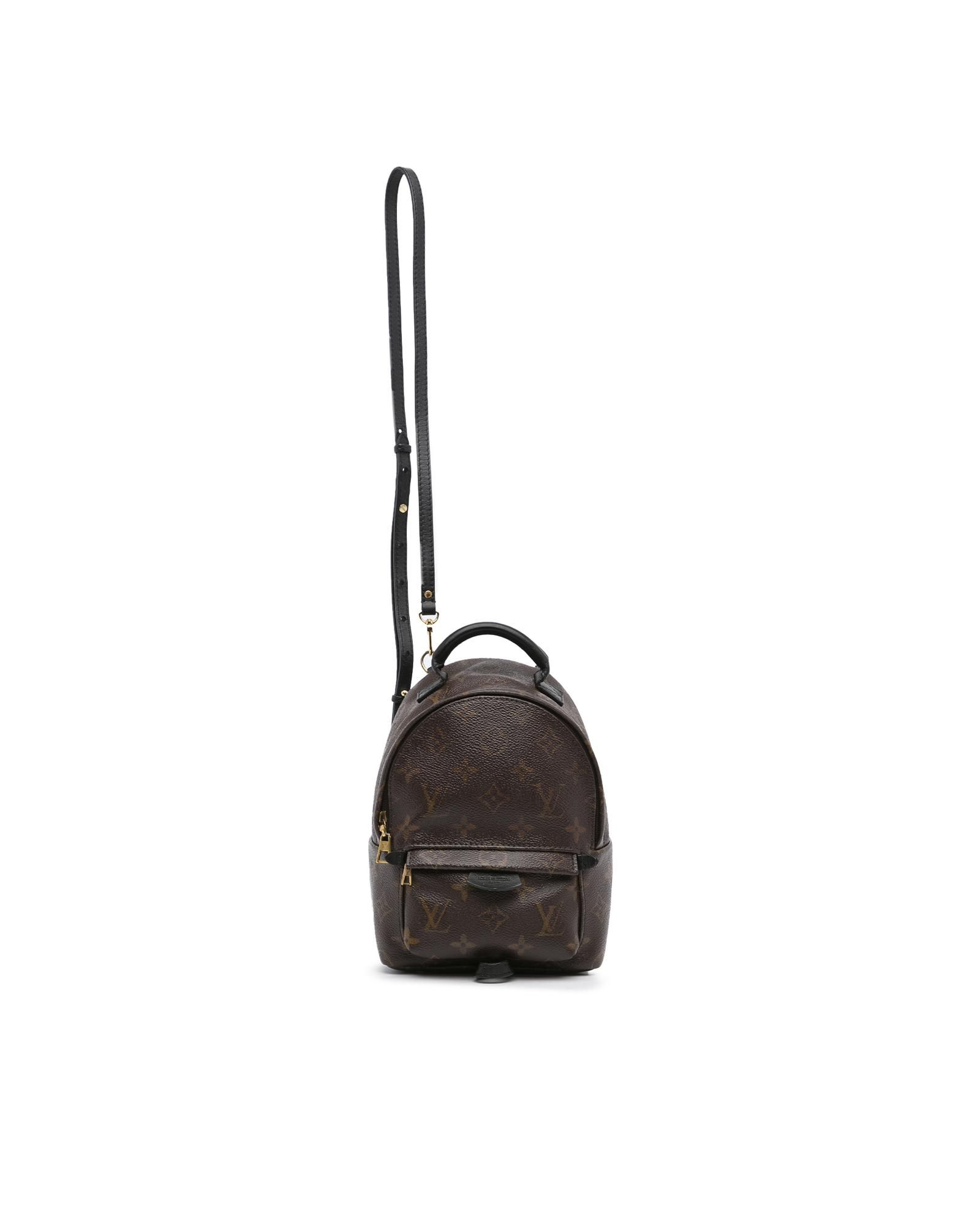 LOUIS VUITTON Monogram Reverse Palm Springs Mini Backpack M44872 LV Auth  25969A