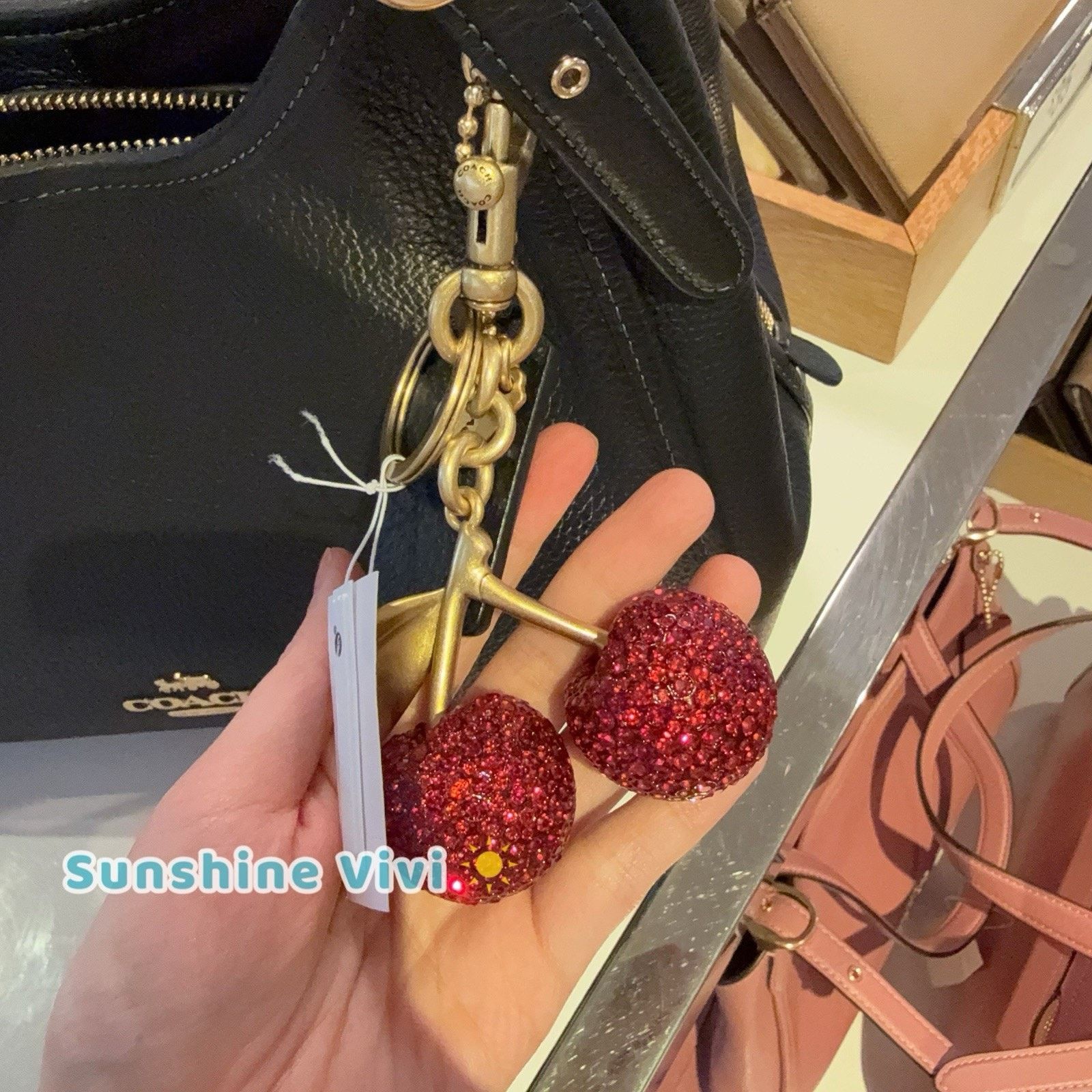 Coach NWT Bundle Coach Crystal Cherry Charm CCD32 & CAQ86 Erin Bag Size ONE SIZE - 10 Thumbnail