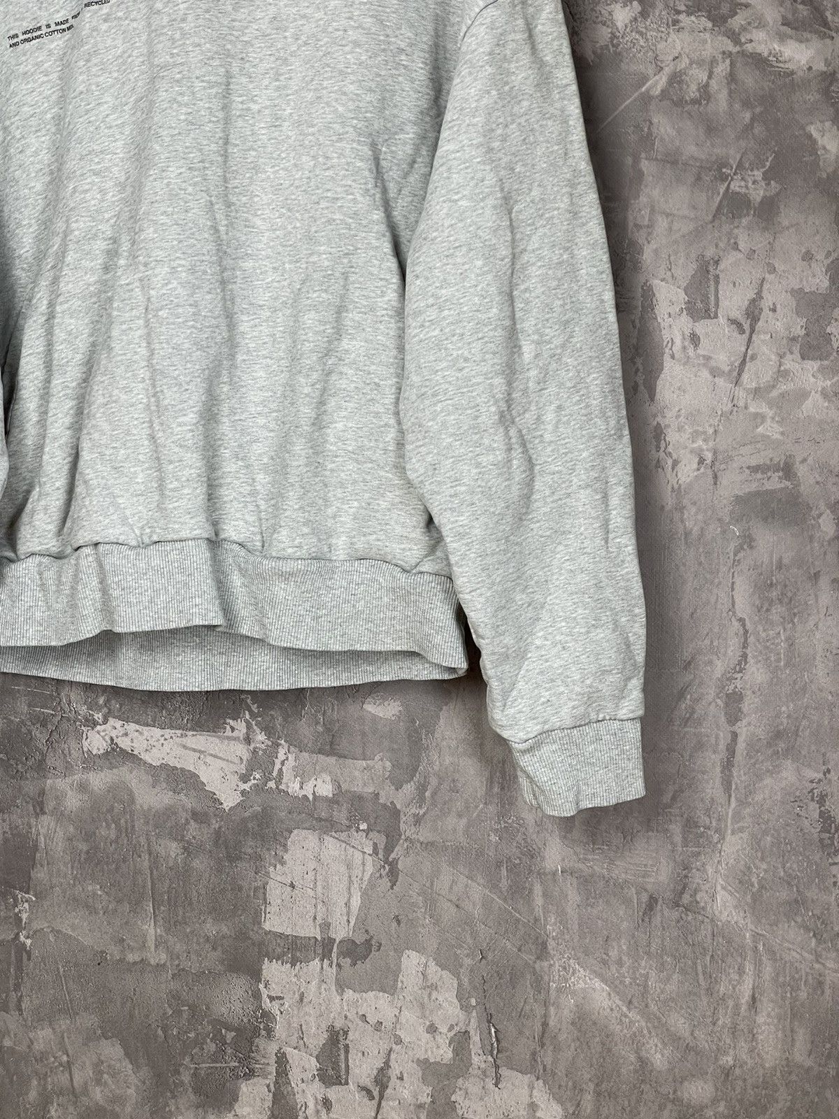 Japanese Brand × Pangaia Pangaia Oversized Recycled Essential Heavyweight Hoodie Size US S / EU 44-46 / 1 - 6 Thumbnail