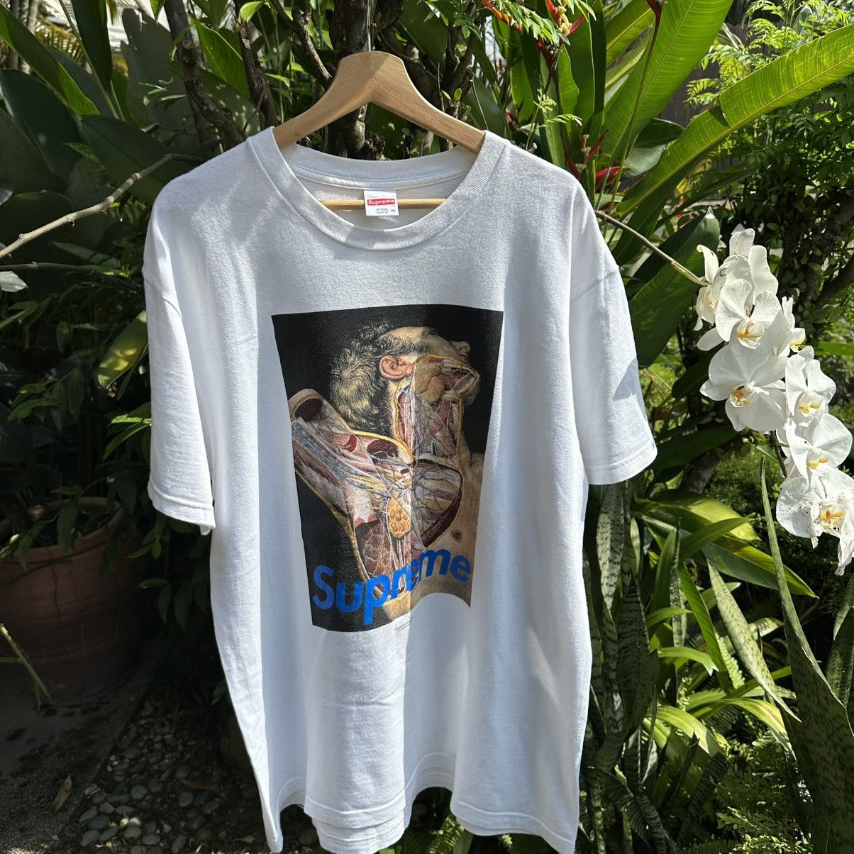 Anatomy Tee - Shop - Supreme