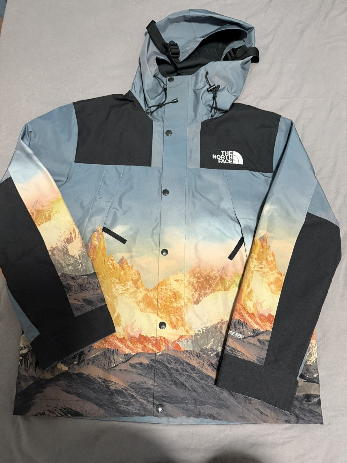 Goretex × The North Face The North Face 1990 Mountain Guide