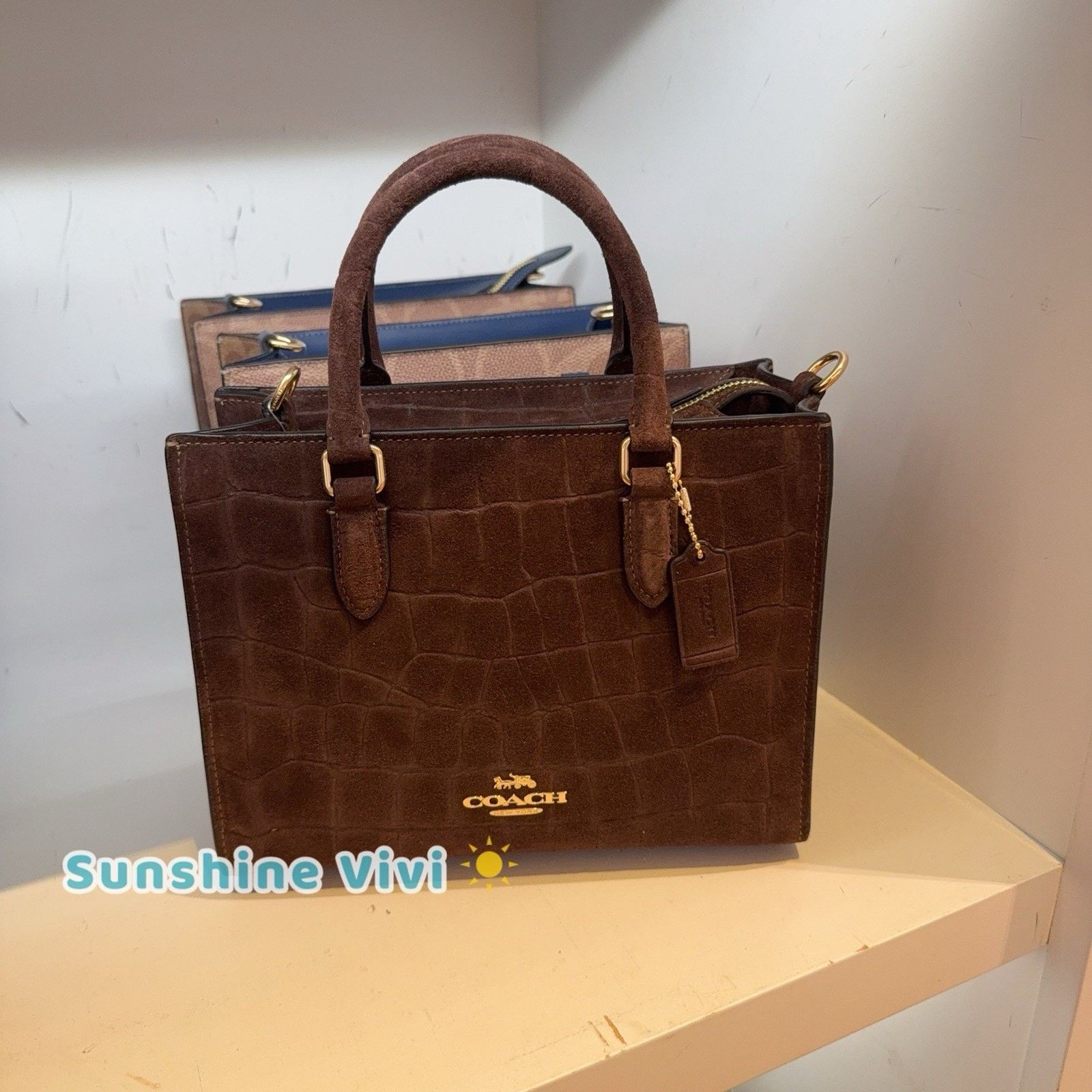 Coach NWT Coach Maggie Small Tote Bag CCC71 Gold/Maple Size ONE SIZE - 1 Thumbnail