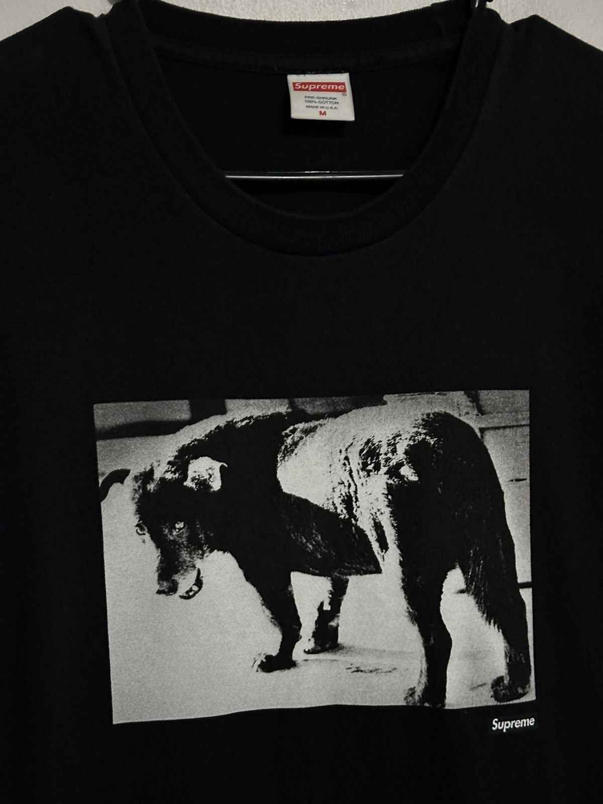 Supreme Supreme Daido Moriyama Dog Tee | Grailed