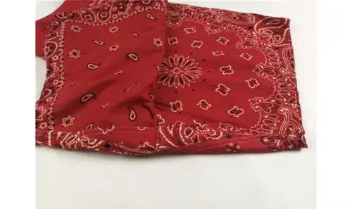 Jean 21SS Indigo Union Japan Red Bandana Paisley Aloha Shorts Size US 32 / EU 48 - 3 Thumbnail