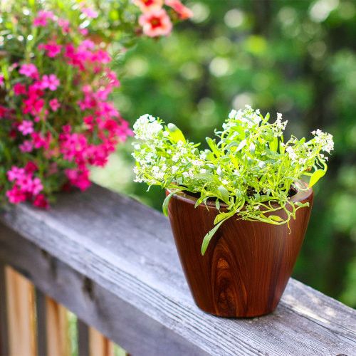 Designer × Homemade 2-Pack 10 in.Dark Wood Plastic Self-watering Planter Pot Size US L / EU 52-54 / 3 - 4 Thumbnail