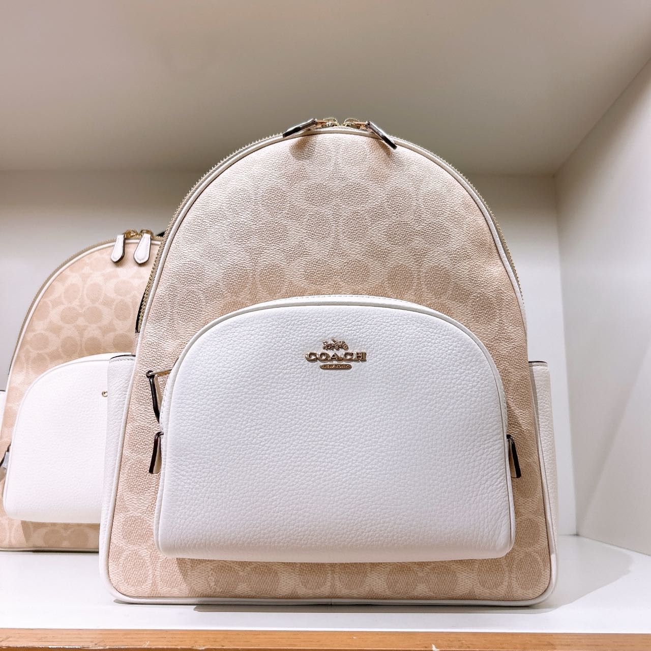 Court Backpack In Signature Canvas CZ176