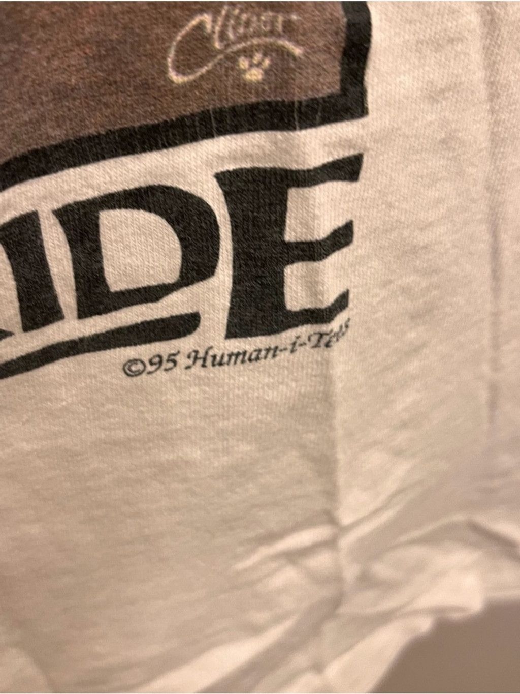 Gildan Nature's Pride 1995 Vintage Lion Graphic Tee Distressed Size US L / EU 52-54 / 3 - 3 Thumbnail