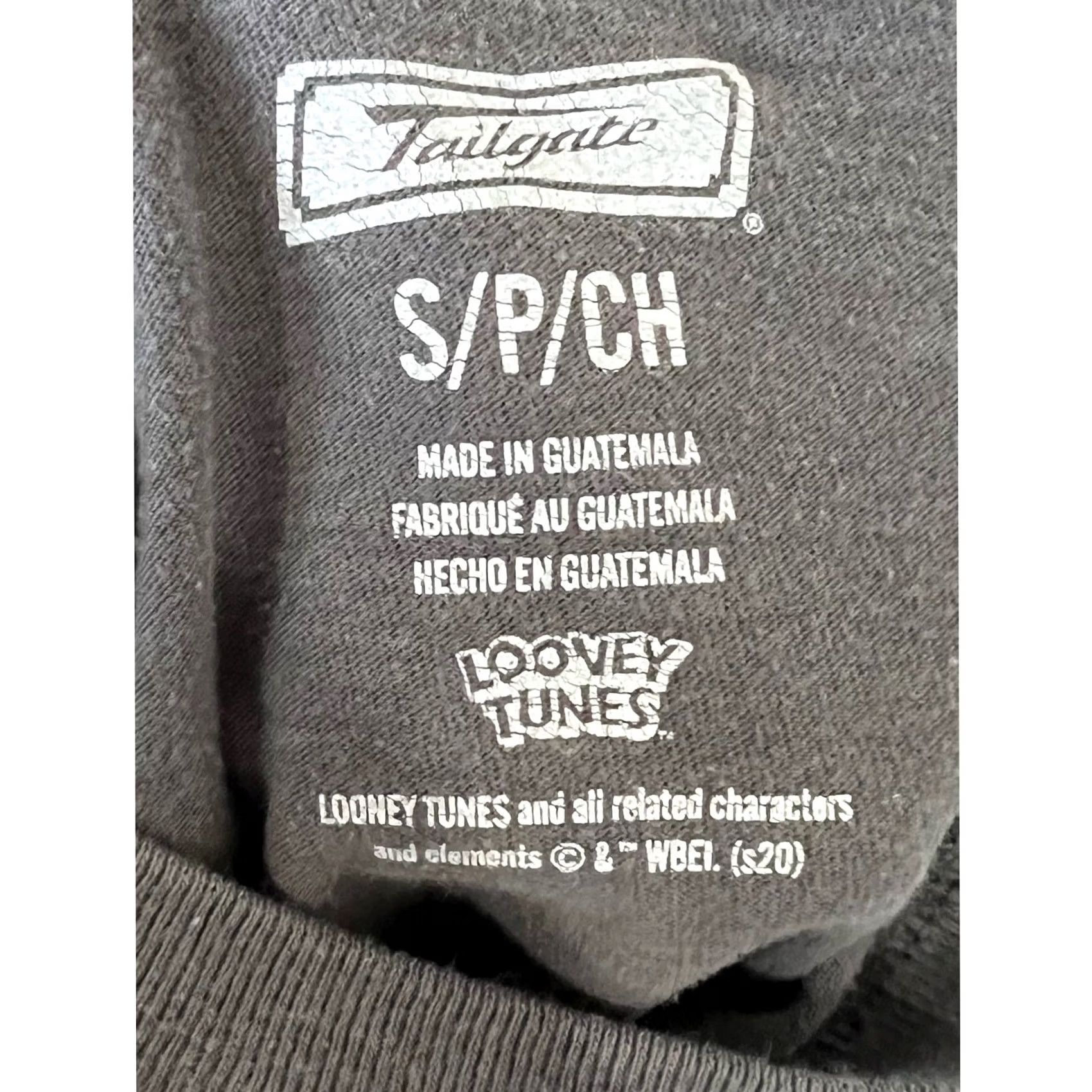Vintage Wil E Coyote Roadrunner T-shirt Pocket Gray American Eagle Looney Tunes Men’s S Shirt Adults Short Sleeve Crew Neck 90s Retro Cartoon Women/Men? Size US S / EU 44-46 / 1 - 4 Thumbnail