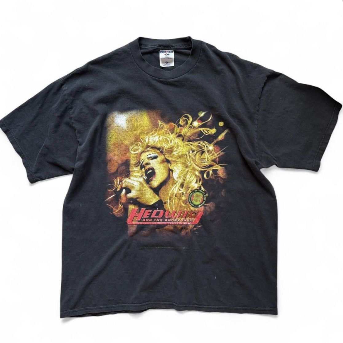 Jerzees Hedwig and the Angry Inch Vintage Tee Size US XL / EU 56 / 4 - 1 Thumbnail