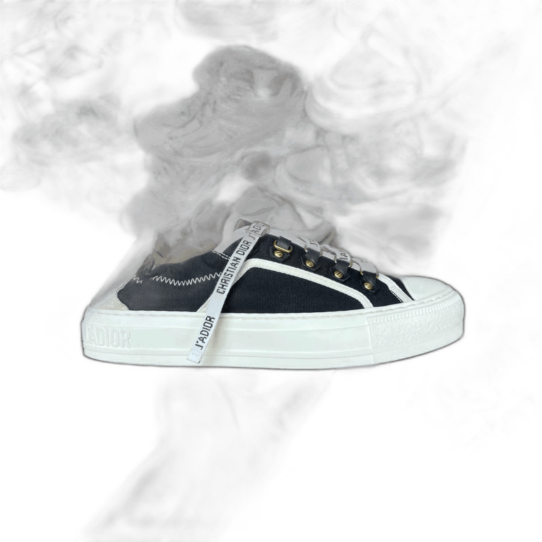Dior Dior Logo Canvas Sneakers Size 36-2505 Size US 5 / IT 35 - 1 Thumbnail