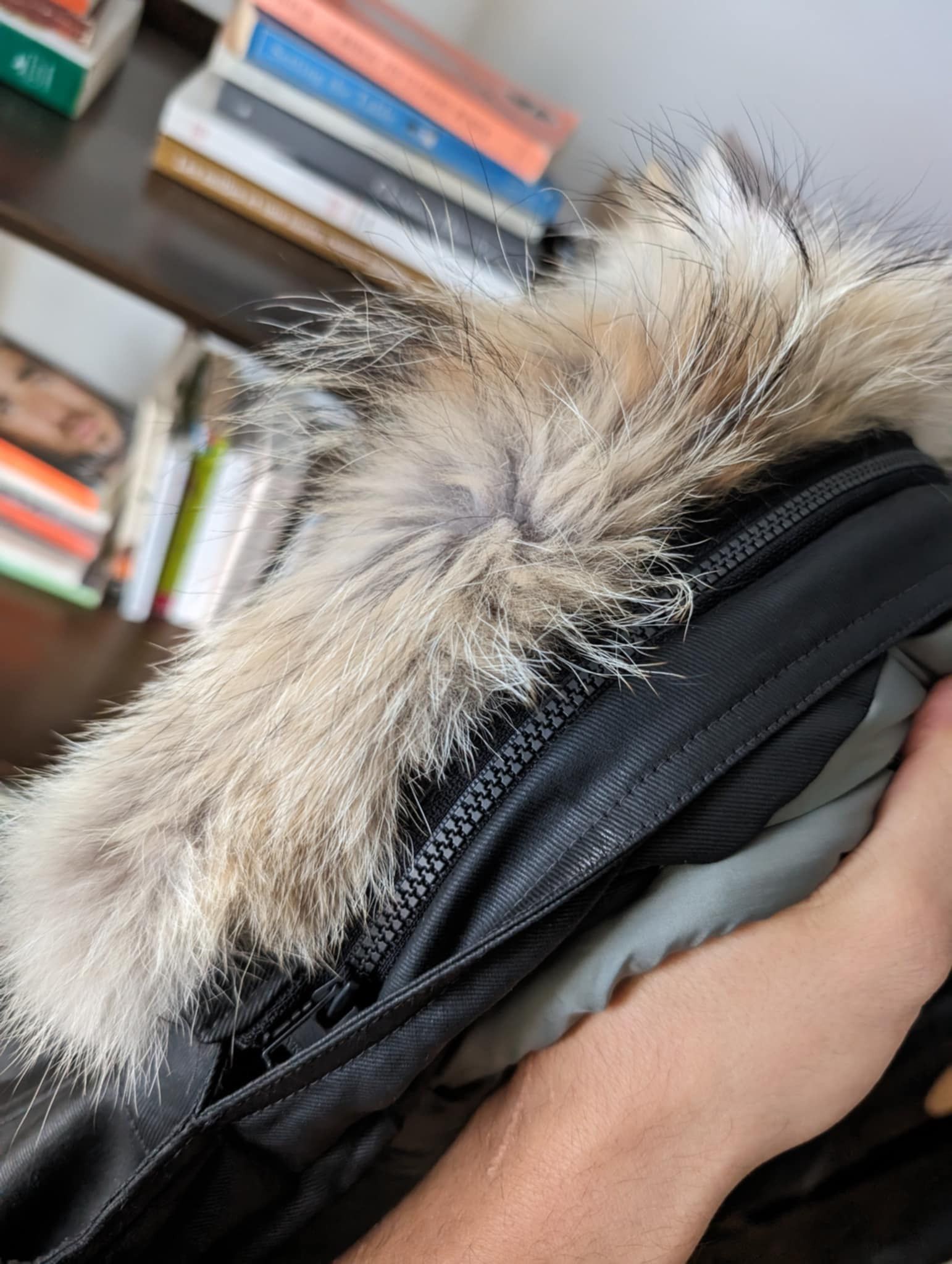 M0851 Doudoune/Parka M0851 Size US M / EU 48-50 / 2 - 3 Thumbnail