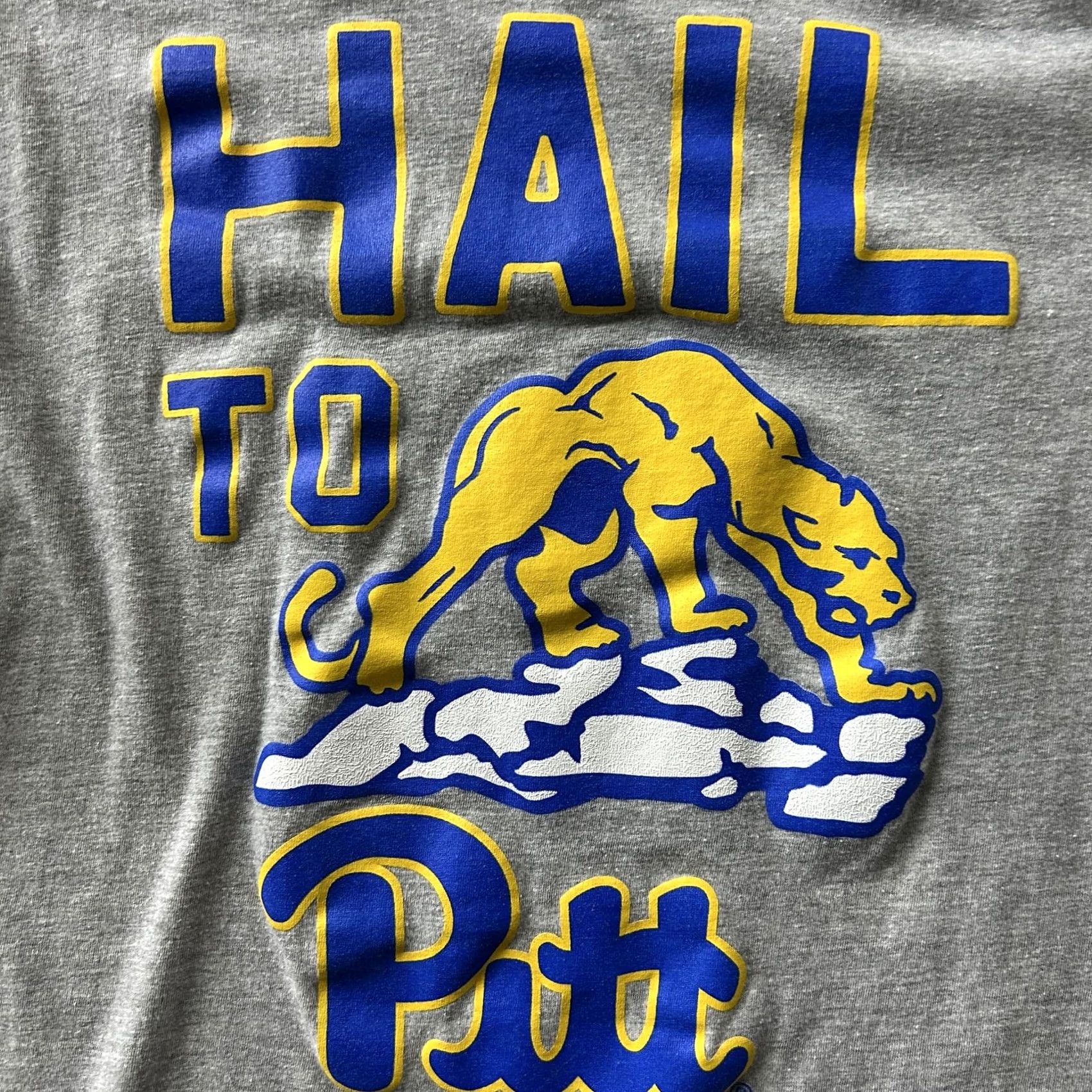 NCAA Pittsburgh University Pitt Panthers Shirt Mens Small Gray Tee Hail To Size US S / EU 44-46 / 1 - 2 Thumbnail