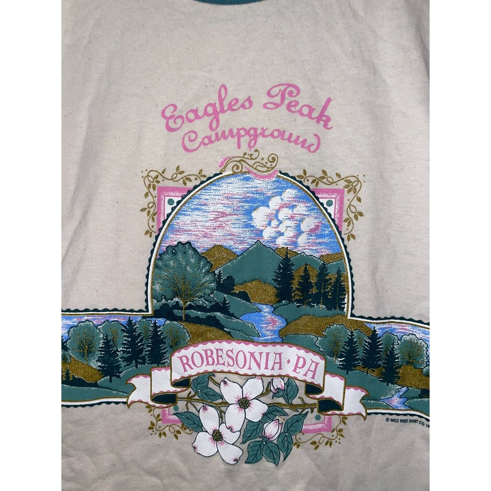 Signal Sport 90s Vintage Eagles Peak Robesonia White Ringer Shirt Large Size US L / EU 52-54 / 3 - 2 Thumbnail