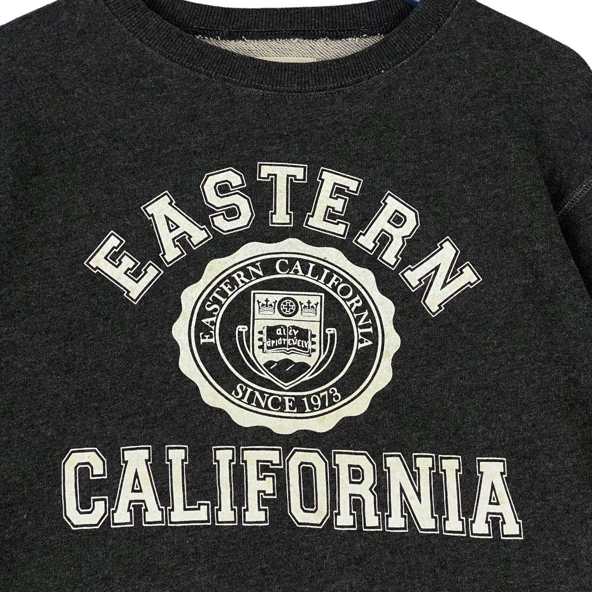 Champion × Vintage Vintage Champion Printed Crewneck Sweatshirt Dark Gray Size US M / EU 48-50 / 2 - 5 Thumbnail