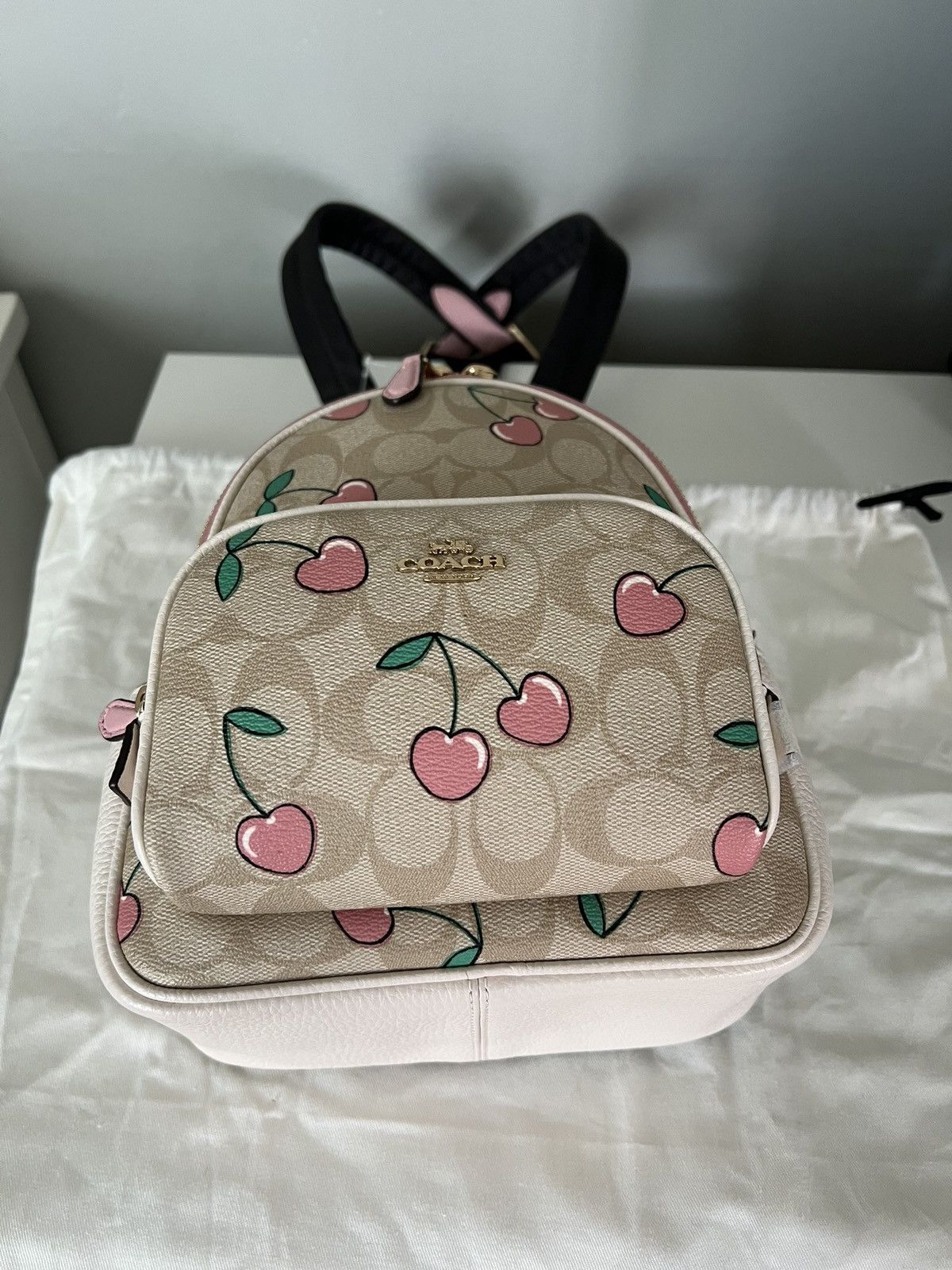 Coach Coach Mini Court Backpack With Heart CherryPrint Size ONE SIZE - 10 Thumbnail