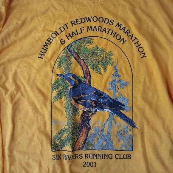 Hanes × Vintage Vintage Y2K Humboldt Redwoods Marathon Long Sleeve T-Shirt Size US M / EU 48-50 / 2 - 1 Thumbnail