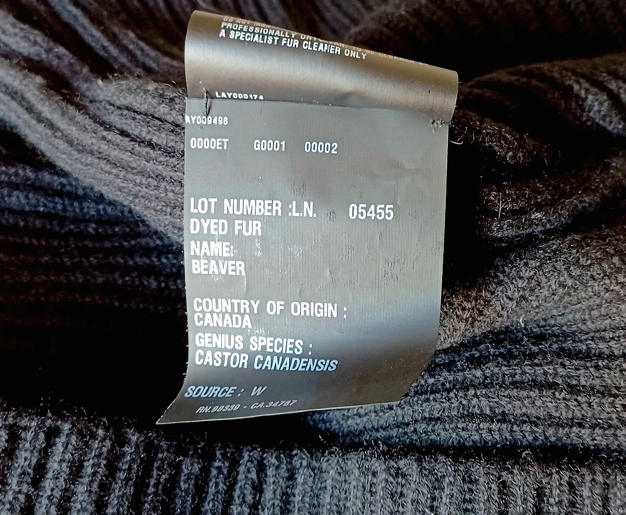 Prada RARE REAL BEAVER FUR CASHMERE JACKET Size M / US 6-8 / IT 42-44 - 5 Thumbnail
