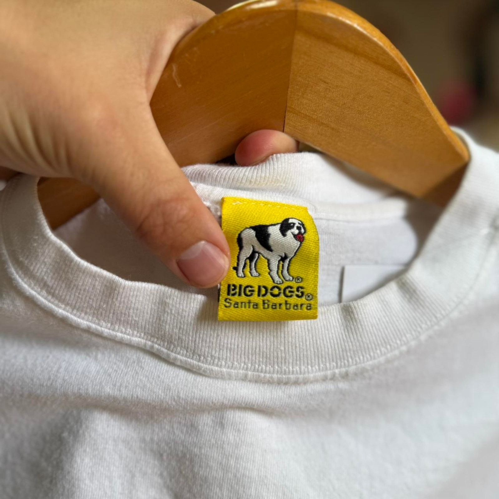 Big Dogs × Vintage Vintage 90s Big Dogs Lessons I Learned Animal T-Shirt Size US L / EU 52-54 / 3 - 7 Thumbnail