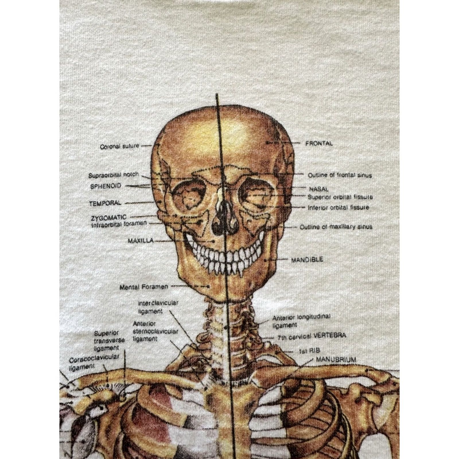 Fruit Of The Loom VINTAGE Nirvana 90s Human Anatomy Chart T Shirt Size L White Cotton Graphic Print Single Stitch Mens Size US L / EU 52-54 / 3 - 3 Thumbnail