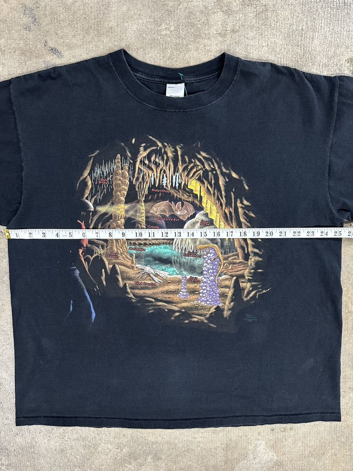 Anvil × Vintage Vintage 90s Wild Cotton Bat Animal Cave T-Shirt Size US XL / EU 56 / 4 - 7 Thumbnail