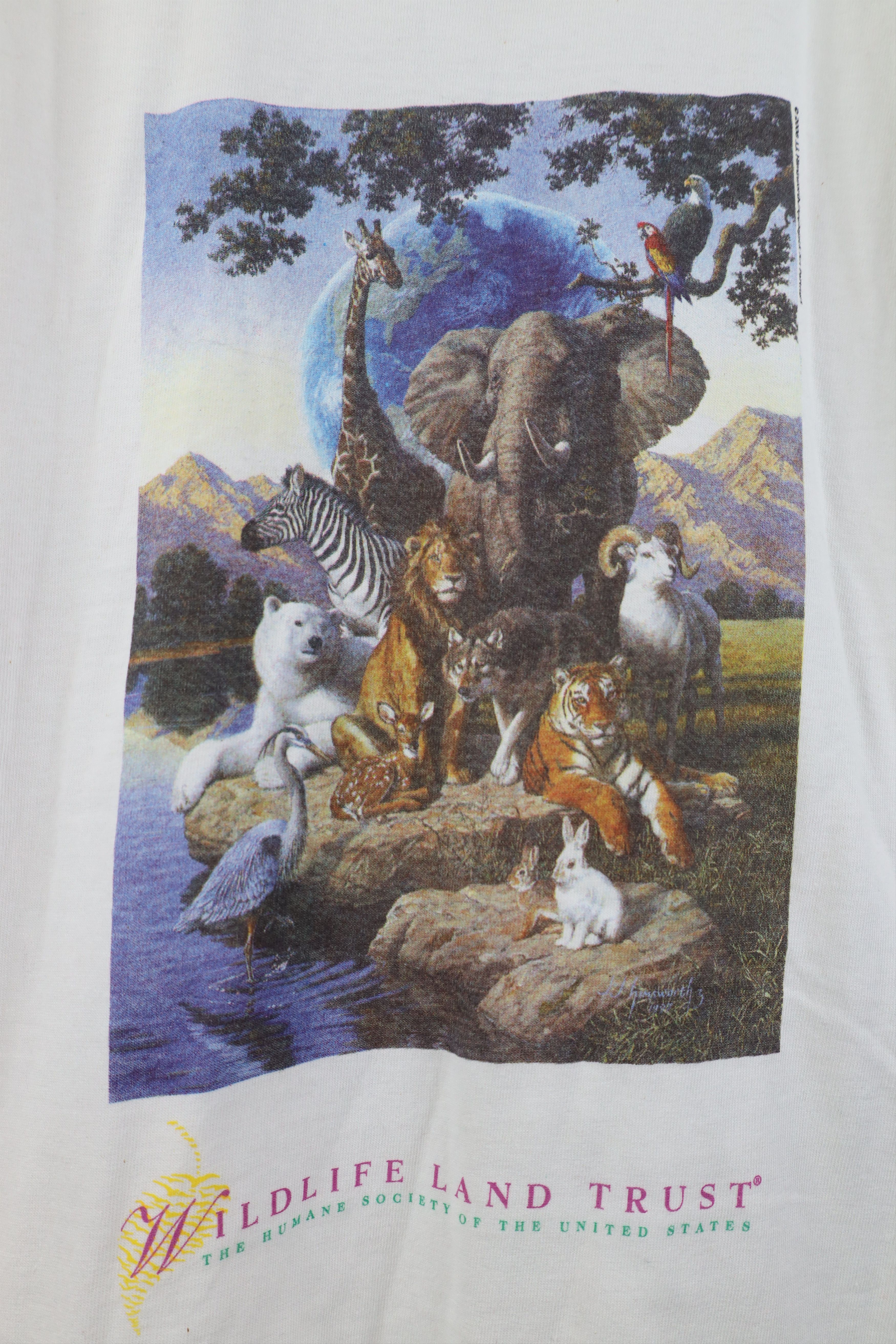 Vintage Deadstock Vintage 90s Y2K Earth Day Land Trust T-Shirt Size L / US 10 / IT 46 - 4 Thumbnail