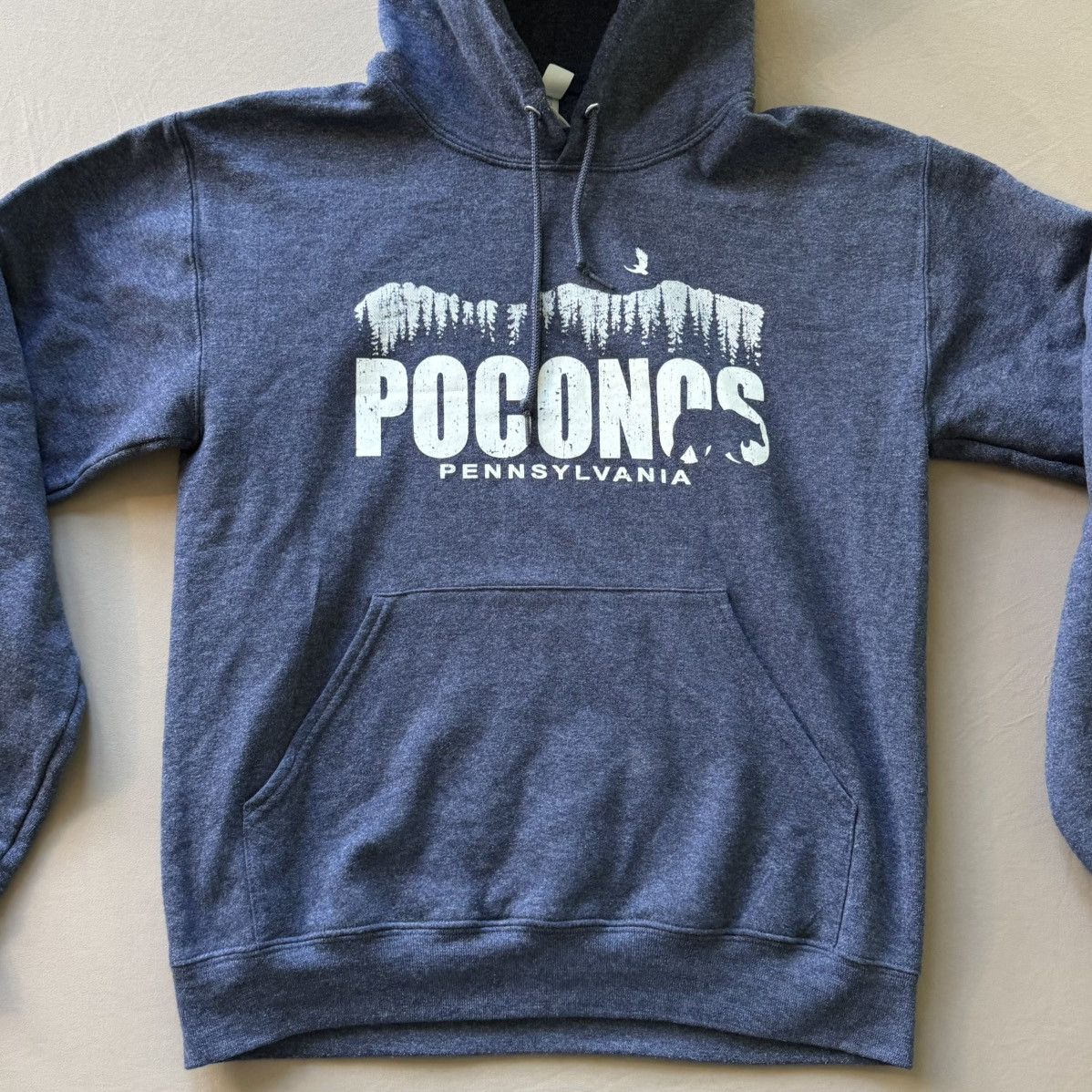 Jerzees Pocono’s Pennsylvania Desination Hoodie Size US S / EU 44-46 / 1 - 3 Thumbnail
