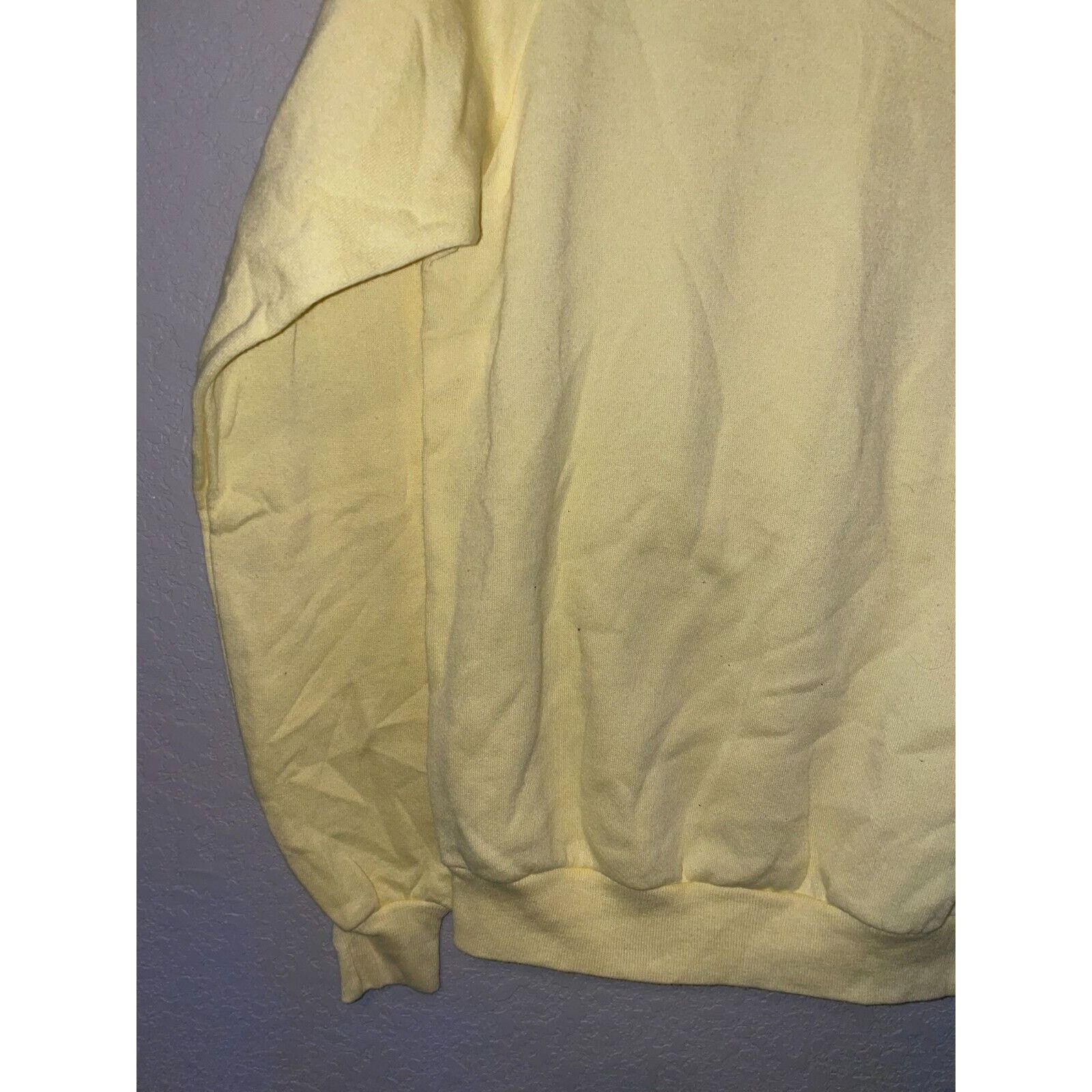 Jerzees Vintage Western Care Institute Sweatshirt Crewneck 90s NWT M Size US M / EU 48-50 / 2 - 4 Thumbnail