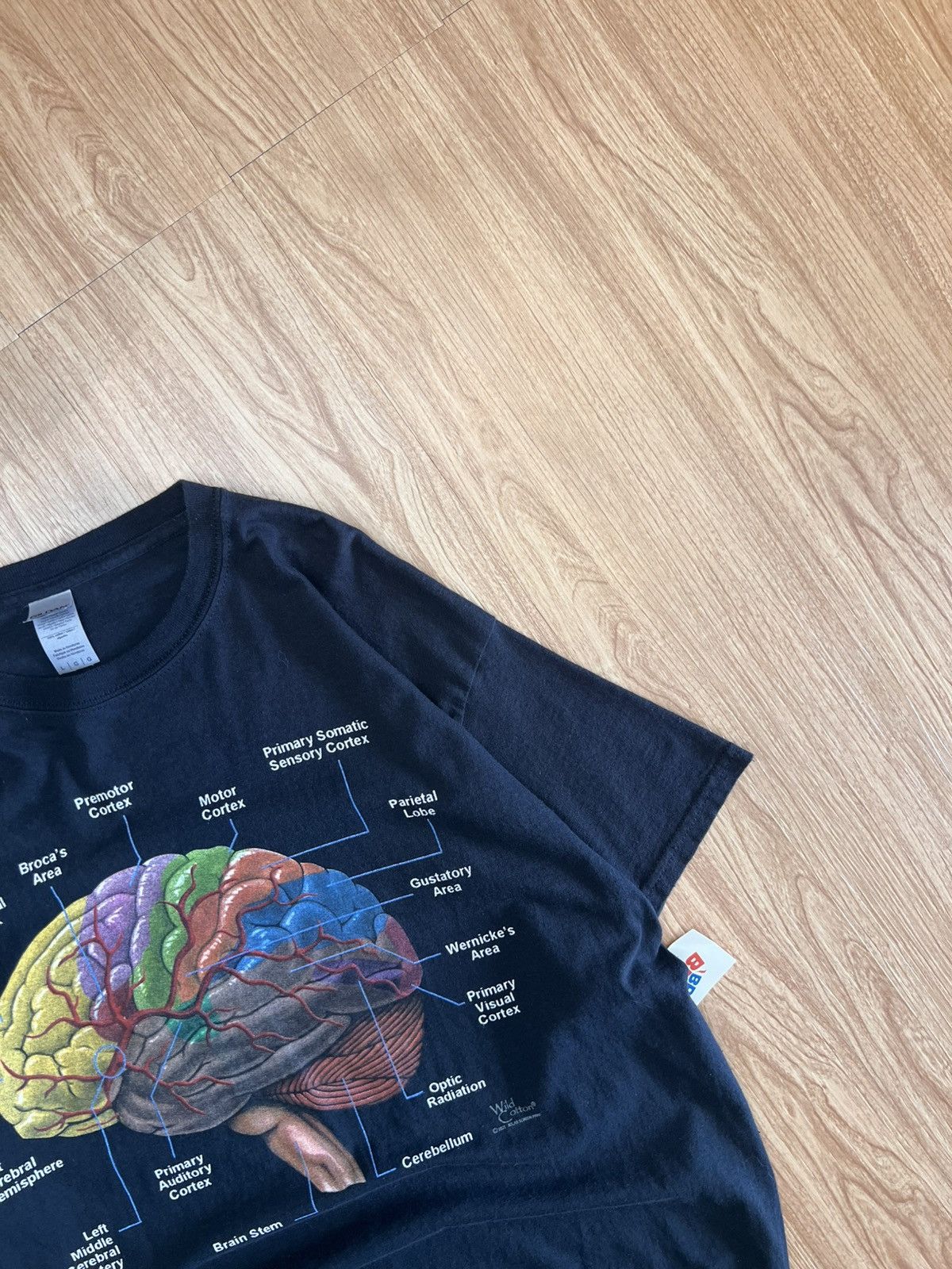 Gildan Vintage Brain Anatomy Size US L / EU 52-54 / 3 - 2 Thumbnail