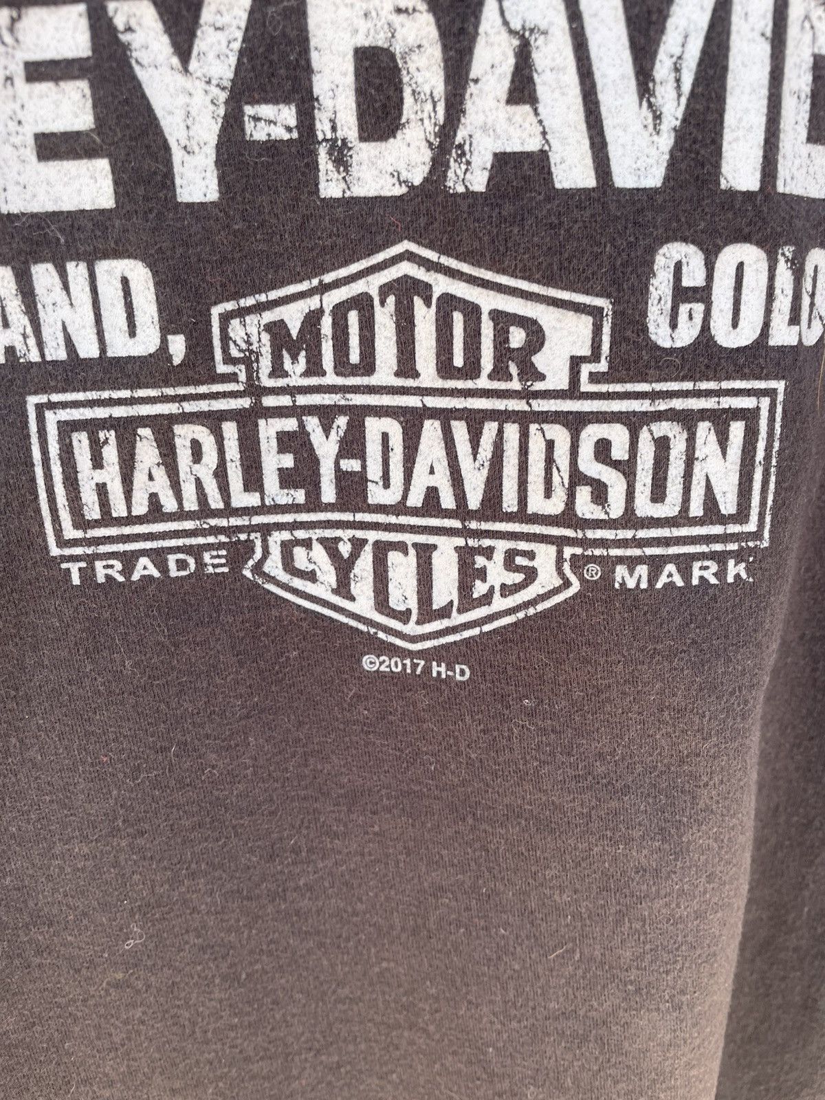 Harley Davidson Vintage 2000s Harley Davidson thunder black xl t-shirt Size US XL / EU 56 / 4 - 8 Thumbnail