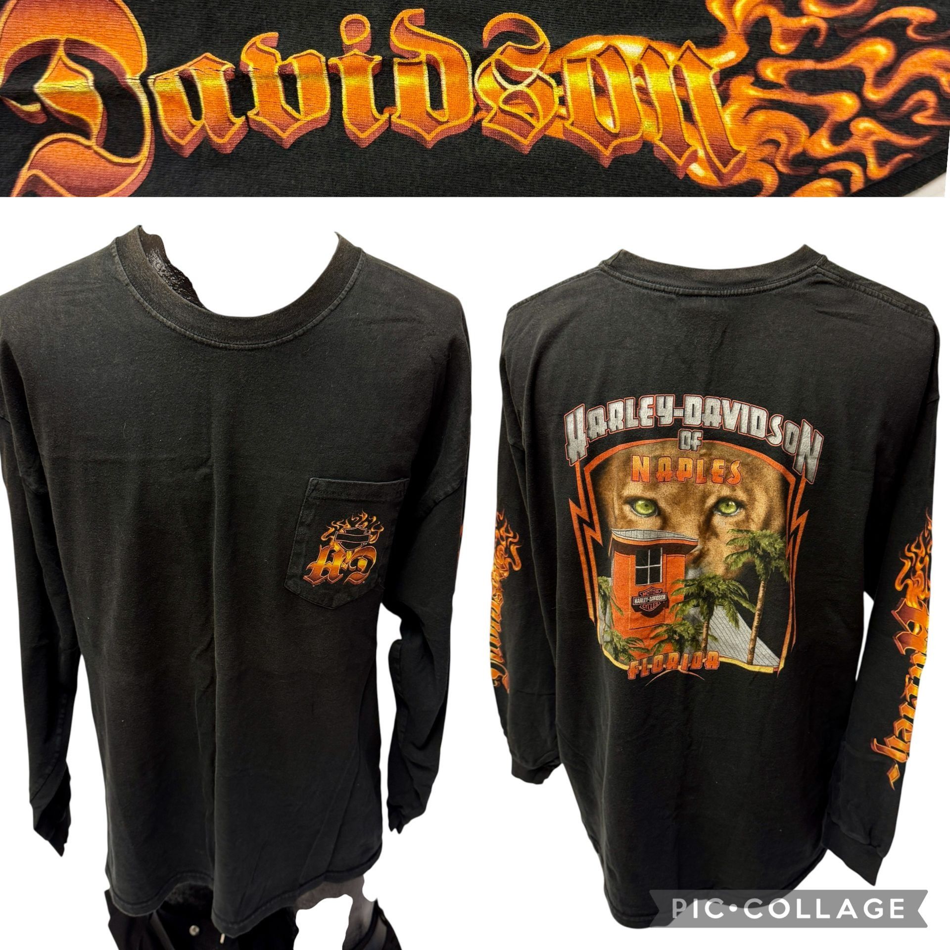 Harley Davidson Harley Davidson Motorcycle Naples Fl LURKING LION LS T Shirt Size US XXL / EU 58 / 5 - 1 Thumbnail