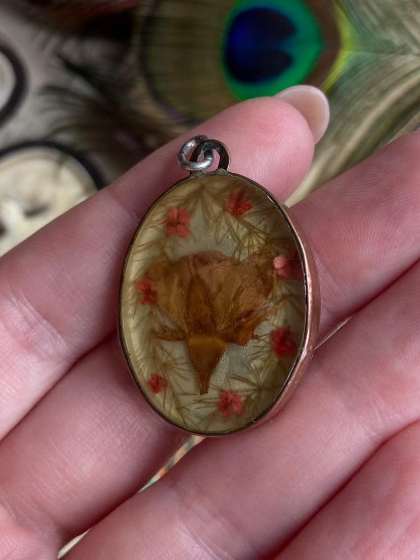 Vintage Vintage Bronze Women's Jewelry Pendant Dry Flowers Resin Size ONE SIZE - 6 Thumbnail