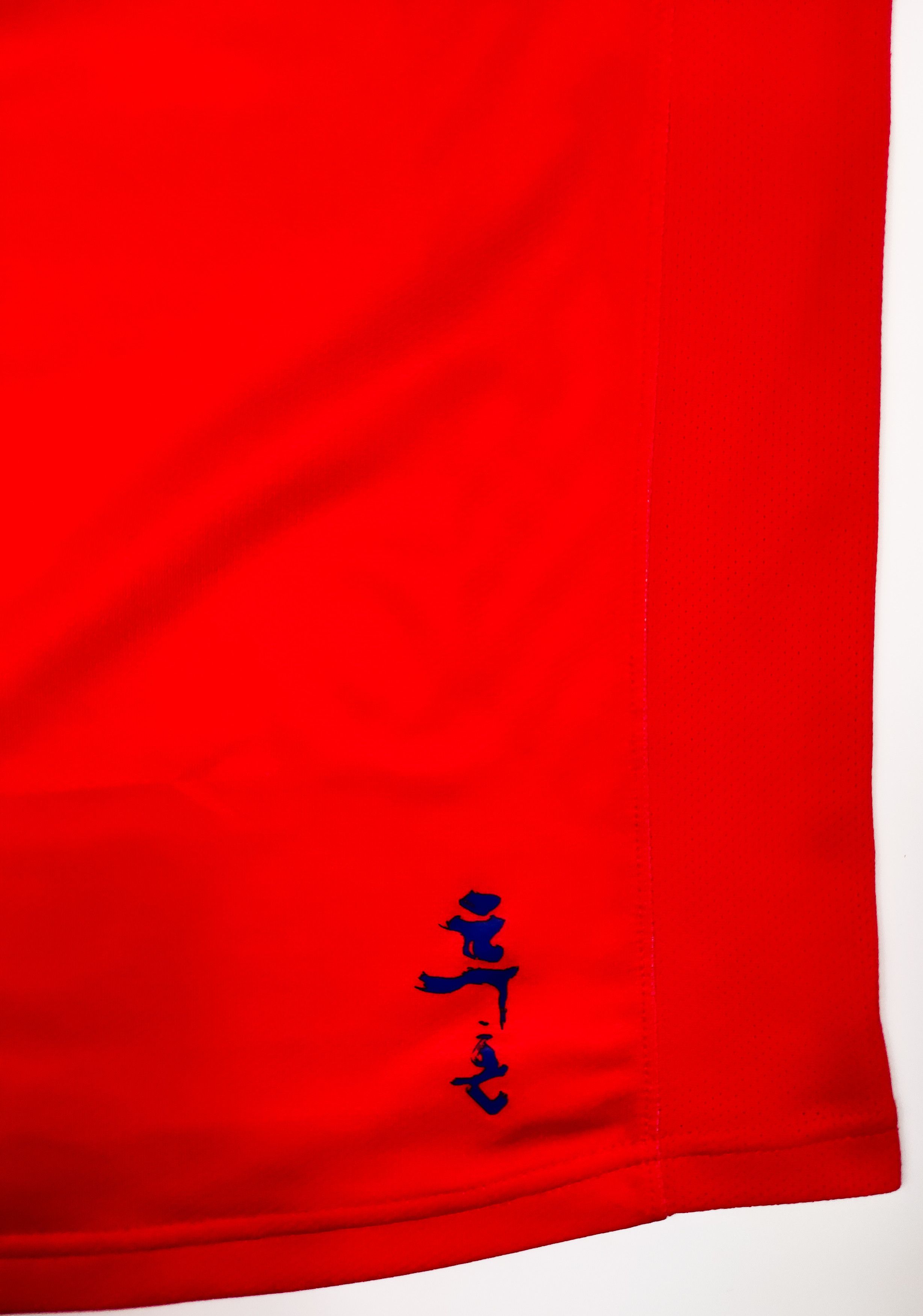 Nike South Korea 2006 2007 Nike Home Shirt Seoul Vintage Asia Size US XL / EU 56 / 4 - 11 Thumbnail