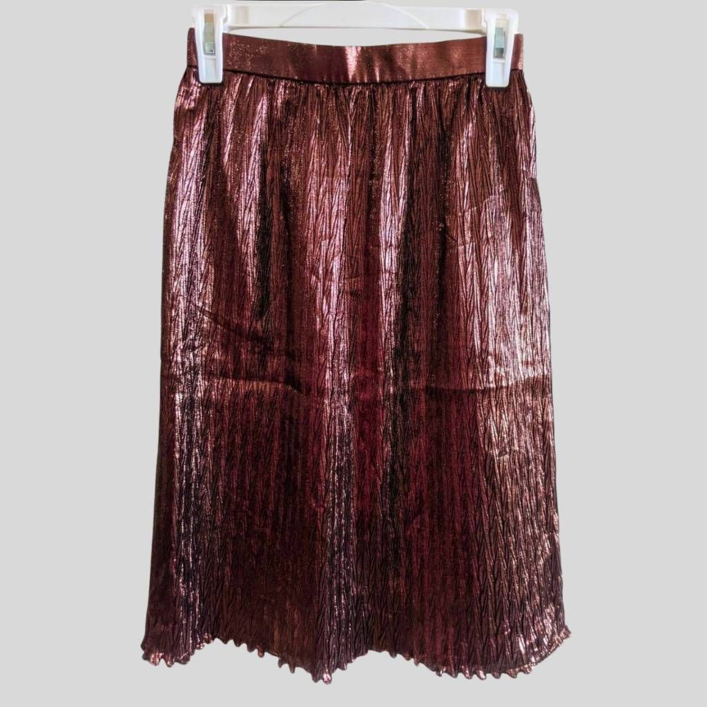 Evan Picone Vintage Evan Picone Brown Metallic Pleated Midi Skirt Size 4 Size 27" / US 4 / IT 40 - 1 Thumbnail