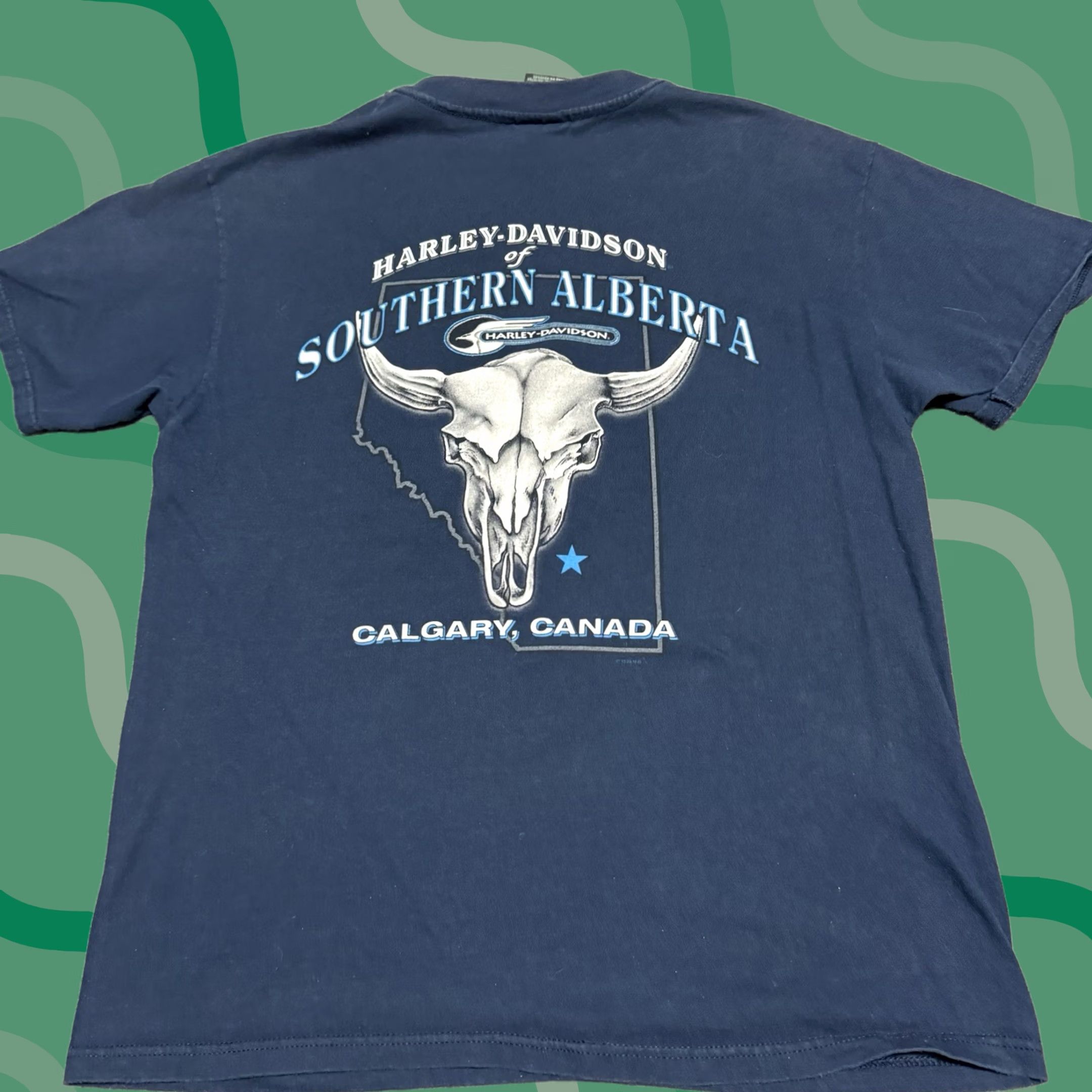 Harley Davidson Harley-Davidson Shirt Mens L Blue Alberta Canada Skull 1997 VTG 90s USA Hanes Beefy-T Size US L / EU 52-54 / 3 - 1 Thumbnail