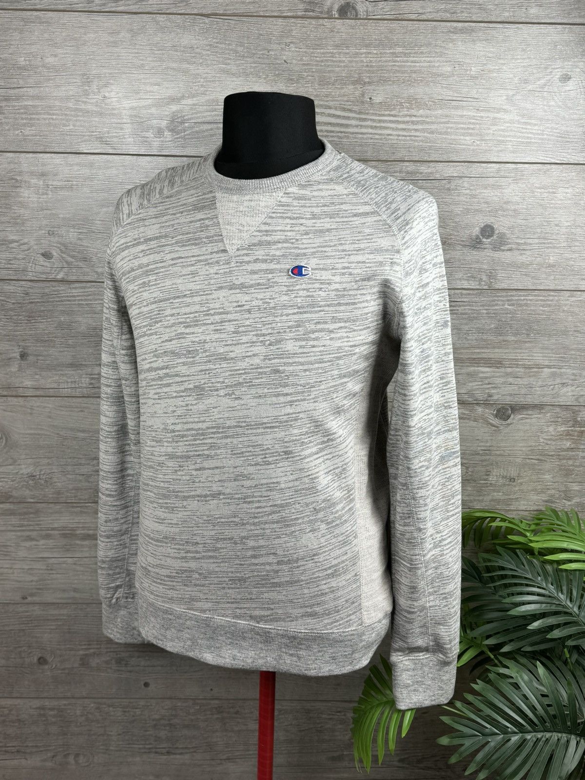 Champion Champion Authentic Athletics Apparel Size S USA style Size US S / EU 44-46 / 1 - 9 Thumbnail