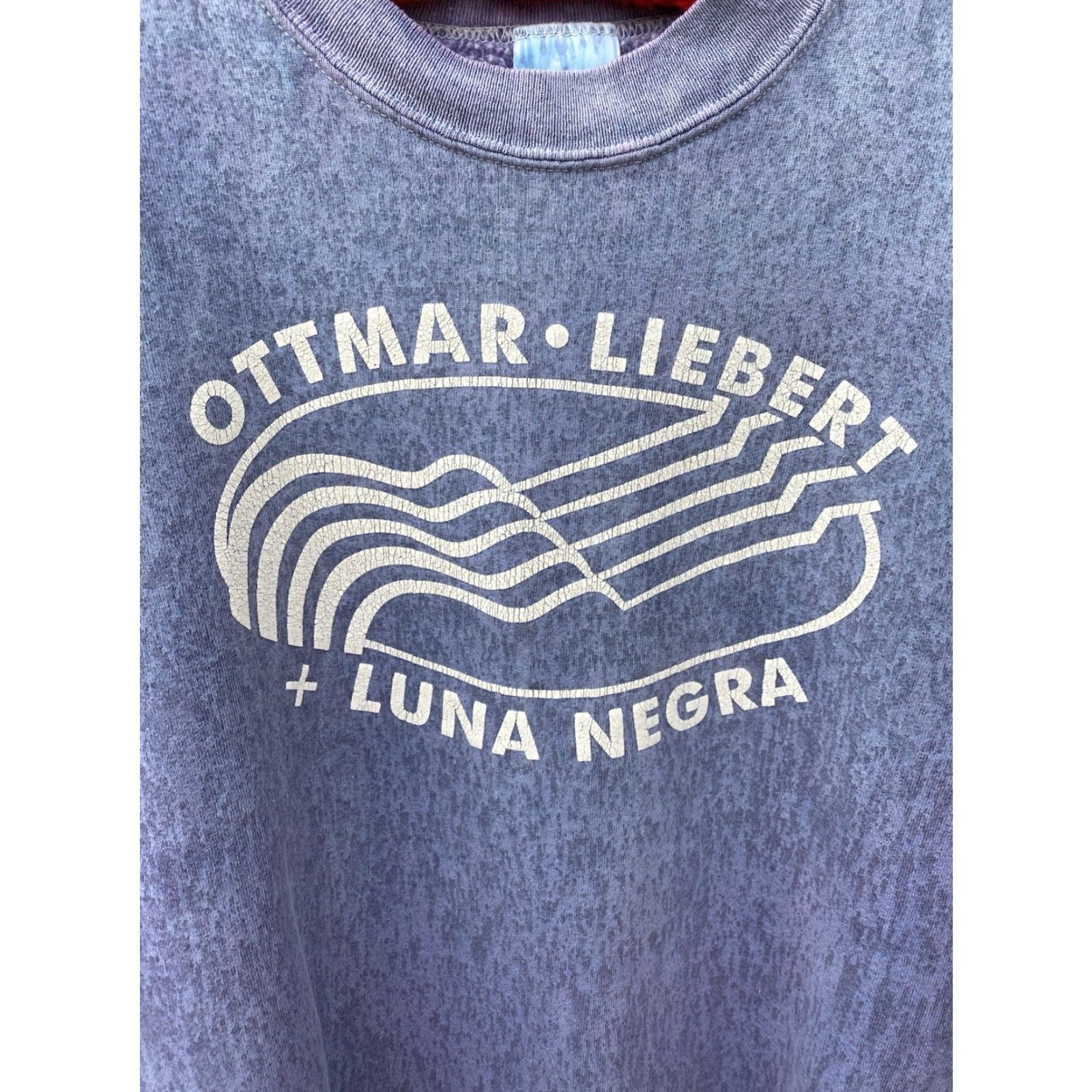 Hanes VINTAGE Hanes Sweatshirt Ottmar Liebert Luna Negra Graphic Print XL Blue Hanes Heavyweight Size US XL / EU 56 / 4 - 3 Thumbnail