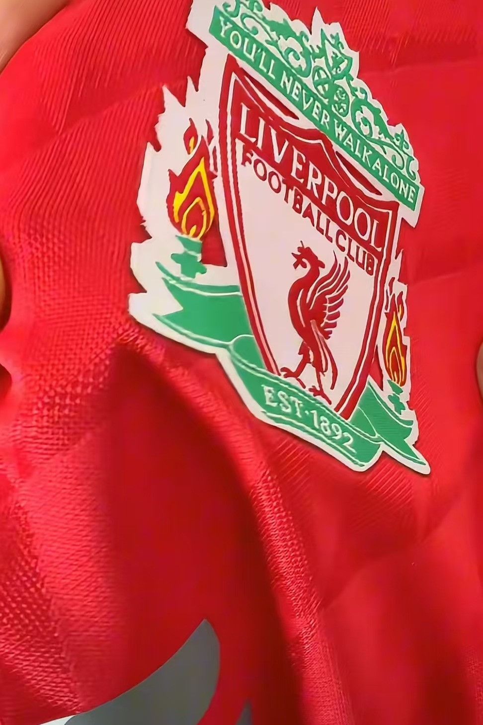 Other 2013 2014 Liverpool #9 Torres Jersey Size US XL / EU 56 / 4 - 3 Thumbnail