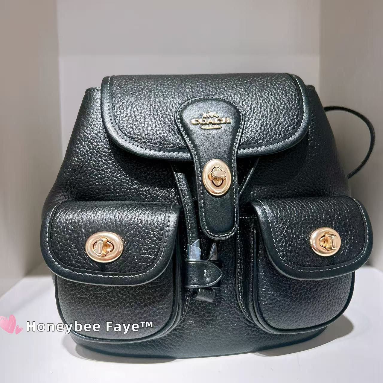 Coach NWT Coach Hadley Backpack CBH09 Size ONE SIZE - 1 Thumbnail
